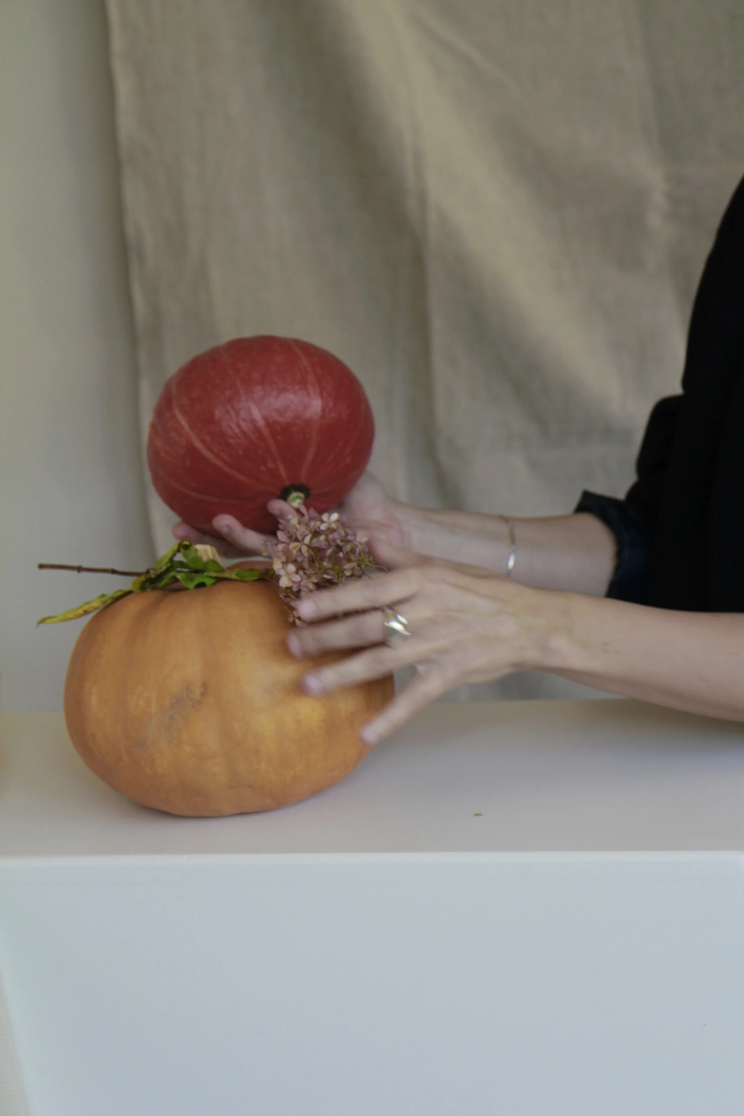 Viviana Bucci Copyright 2021.jpg