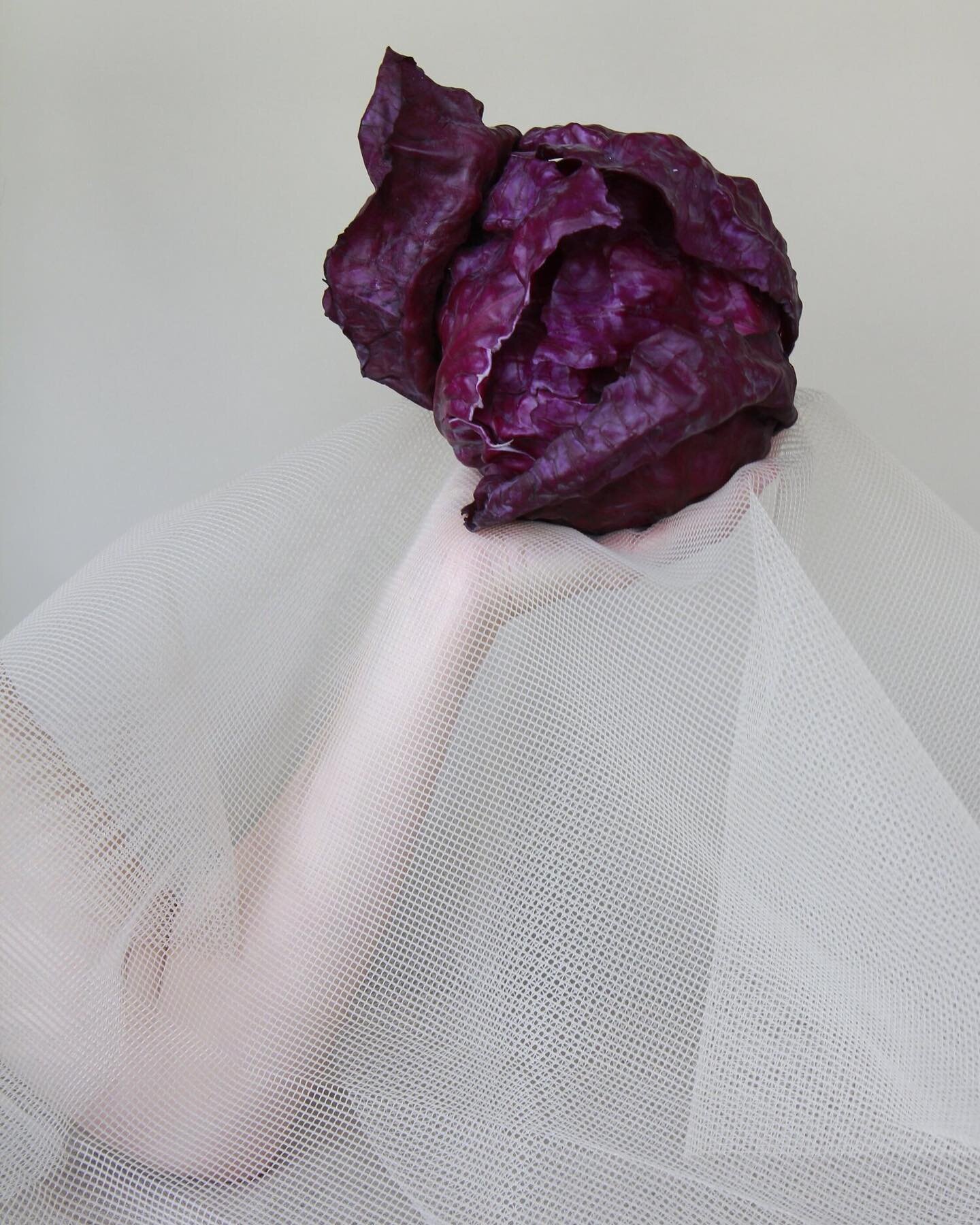 Es ist meine Leidenschaft, mit Menschen einen Weg durch das Labyrinth von Informationen zum Thema Ern&auml;hrung zu finden. Es liegt mir am Herzen, durch Zusammenarbeit mit Ihnen Ihre Bed&uuml;rfnisse kennenzulernen und diese dann gezielt zu unterst&