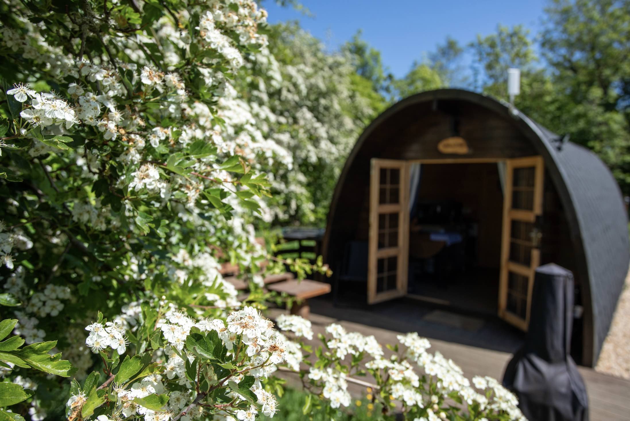 Green Oaks Nature Retreat