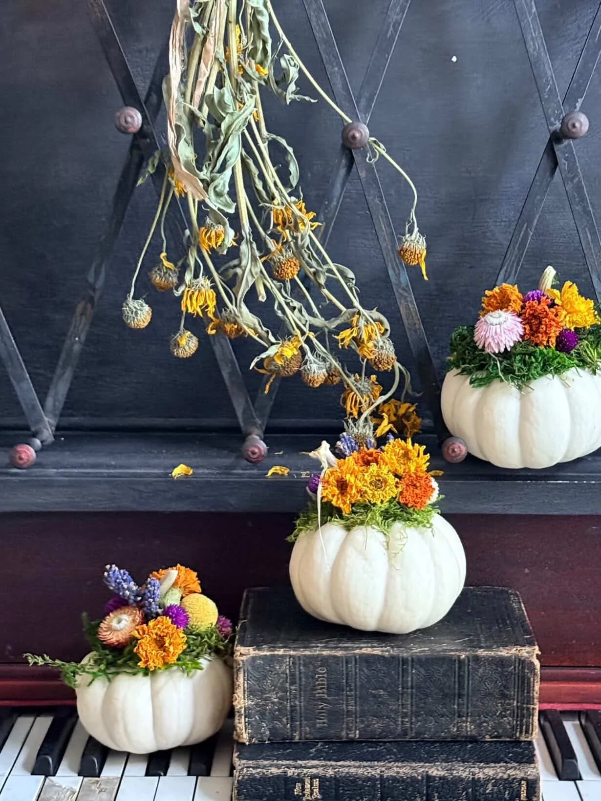 Mini Pumpkin Succulent Trio Workshop