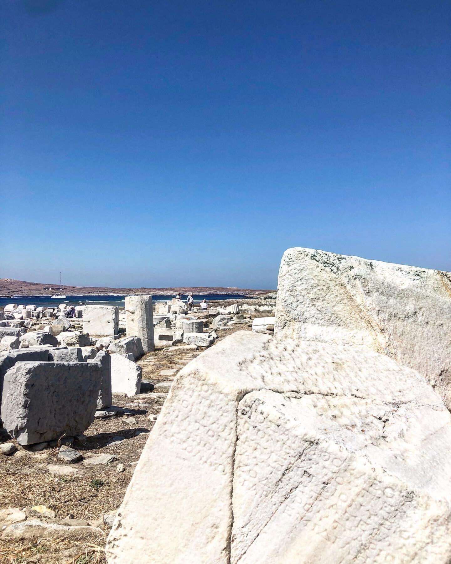Apprendre un peu, plein les yeux beaucoup 🤍💙 #delos