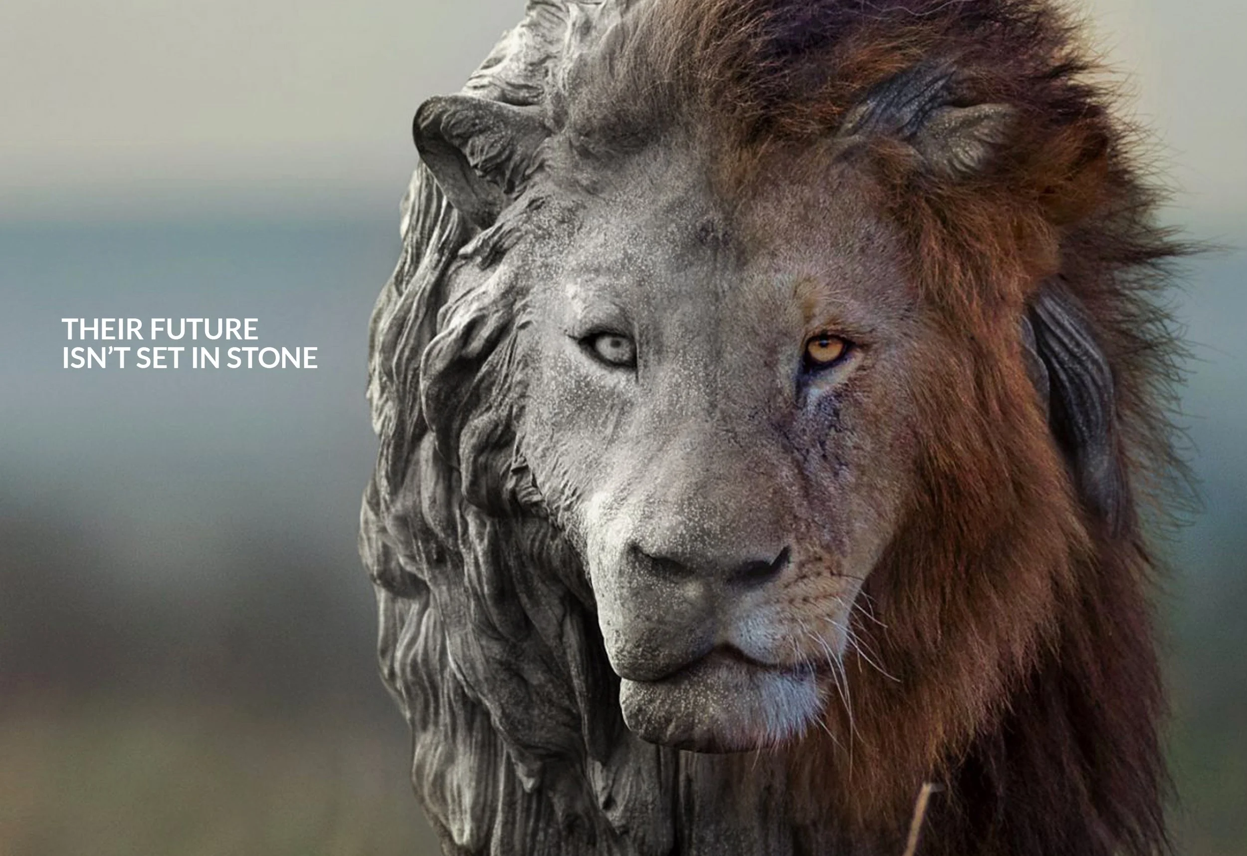 001_Lion.jpg