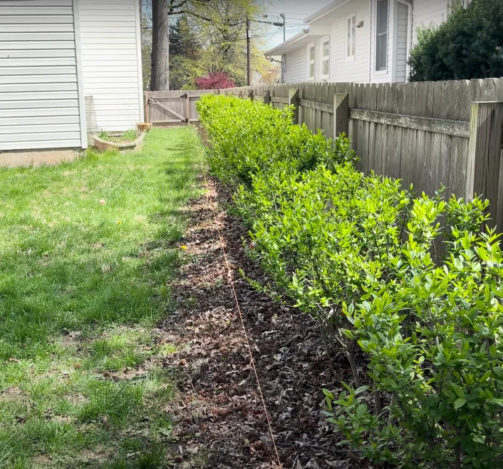 Before with string line