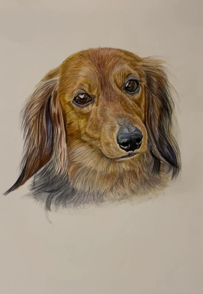 WhatsApp Image 2022-06-28 at 10.18.48 PM.jpeg