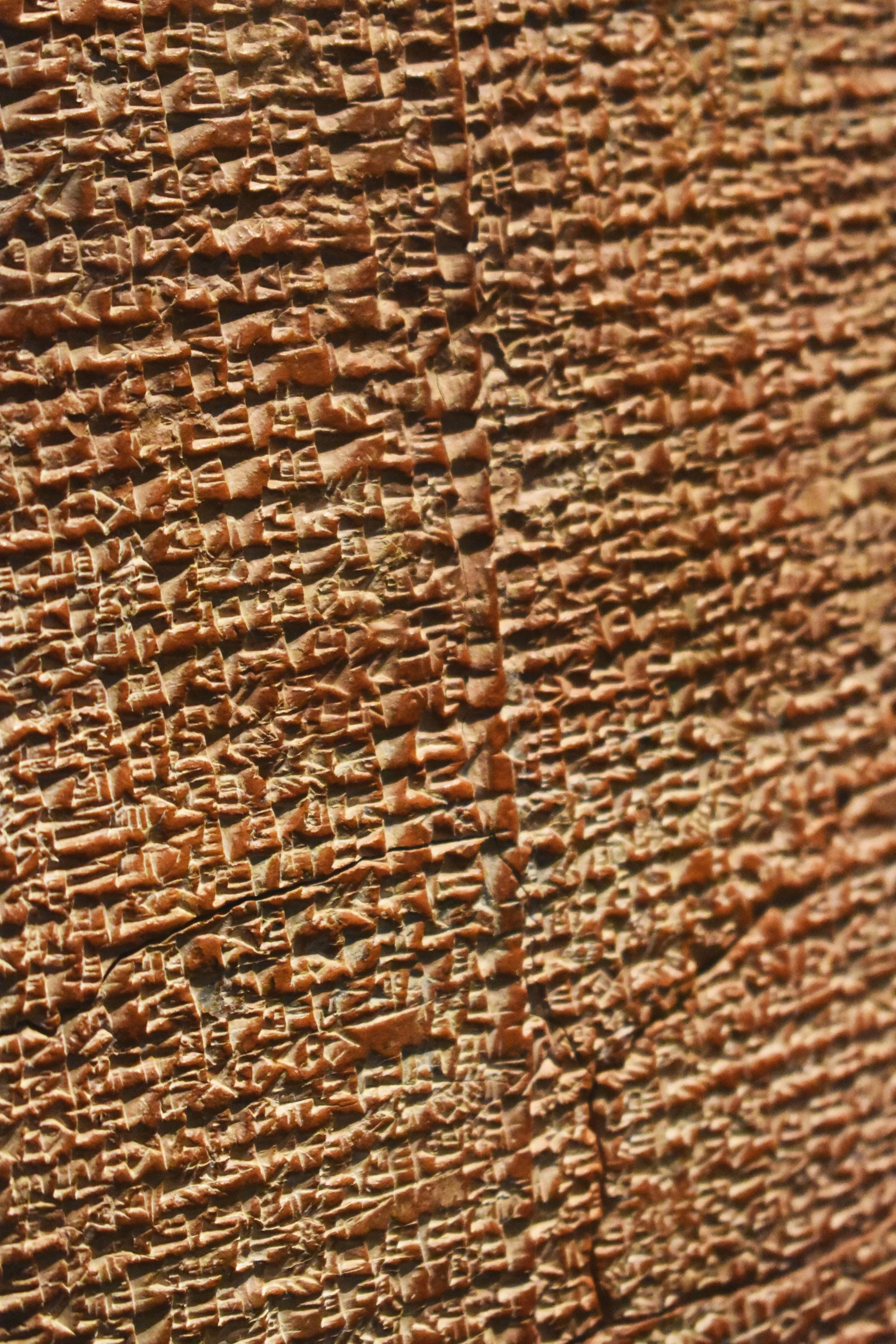 DSC_0679.jpg