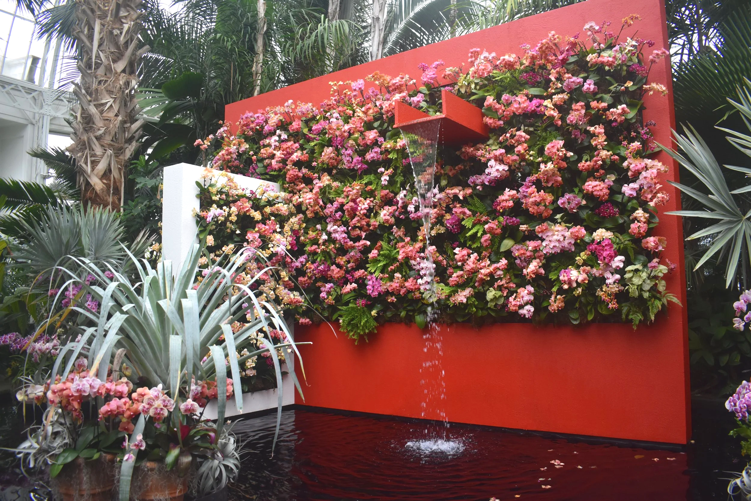 Mexican Modernism - New York Botanic Gardens 2025