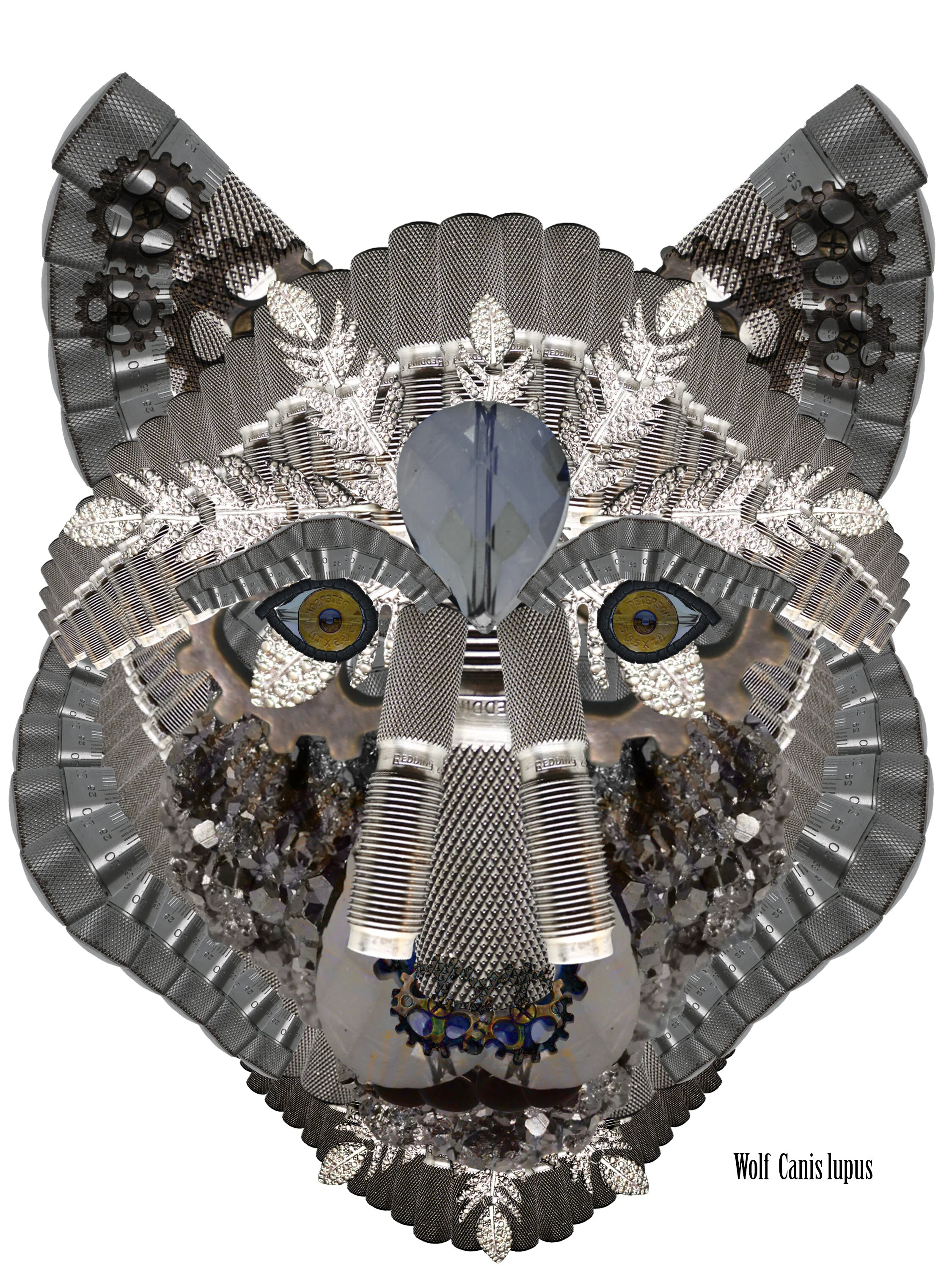 lamorte-m-final-project1.jpg