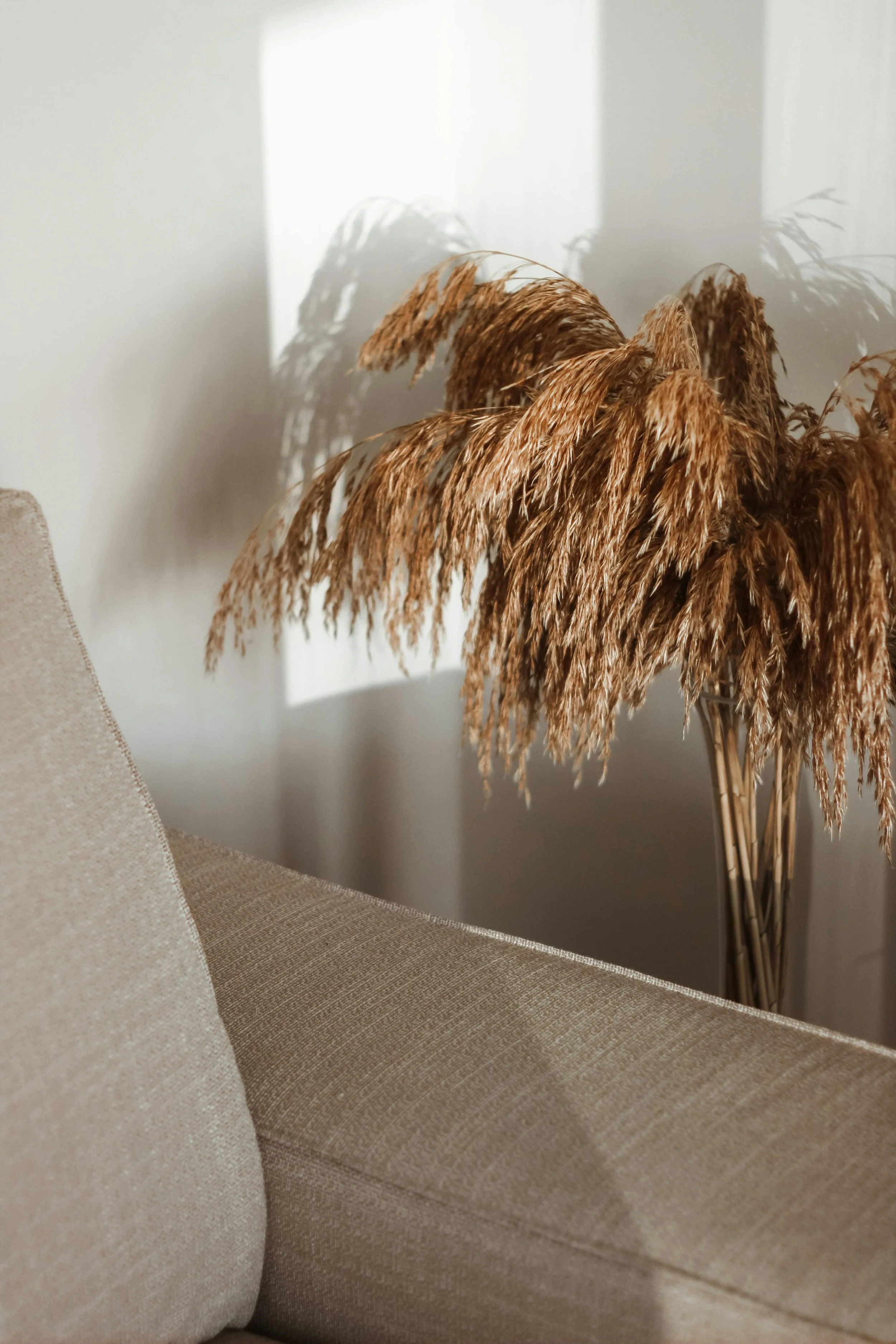 A bunch of dried beige and brown grasses on a beige upholstered couch with textured fabric, against a plain off-white wall with sunlight casting shadows.