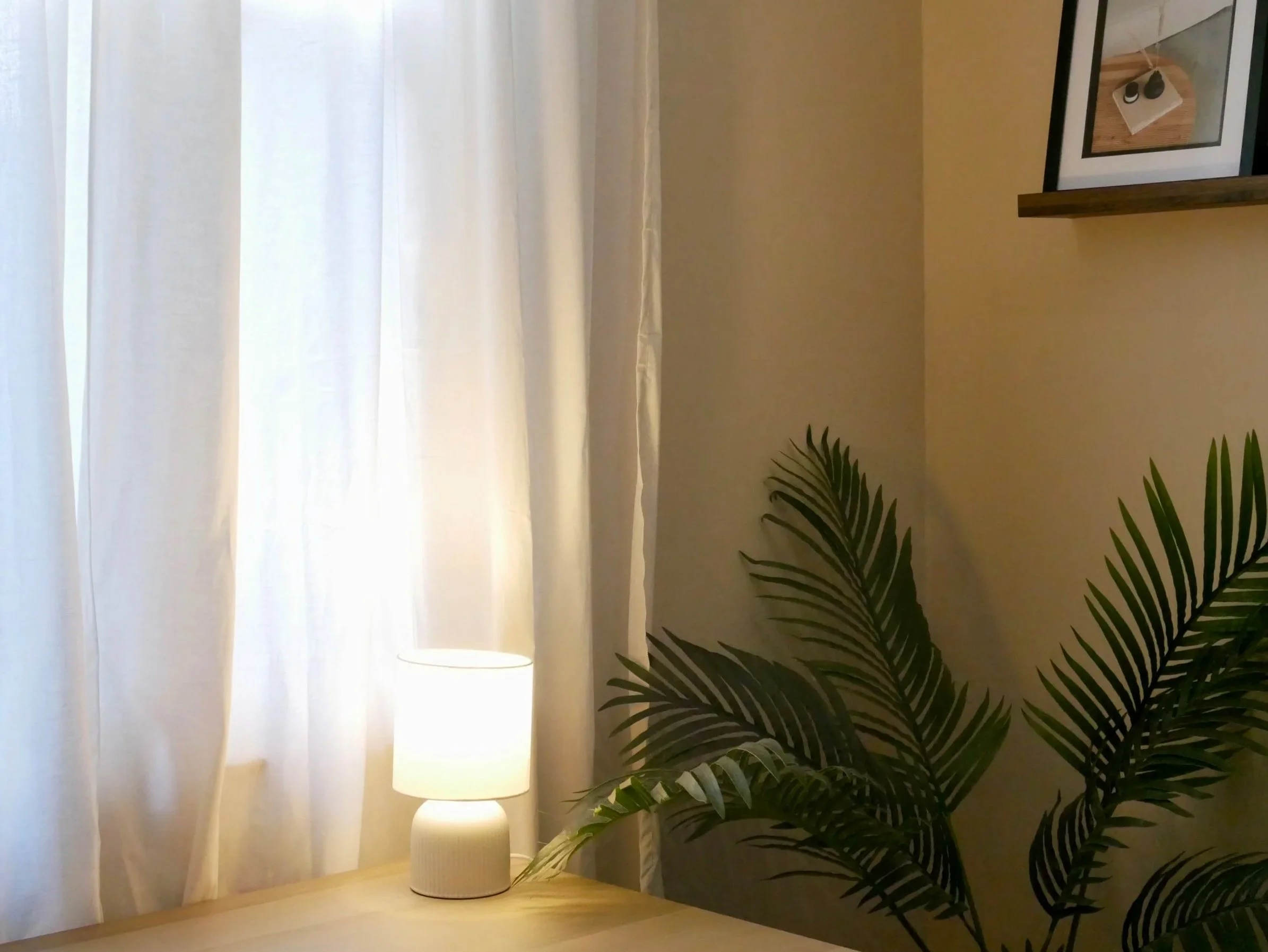 A white table lamp with a textured base turned on, placed on a light-colored wooden surface next to a large green houseplant with elongated leaves, in front of sheer white curtains, with a framed picture on the yellow wall above.