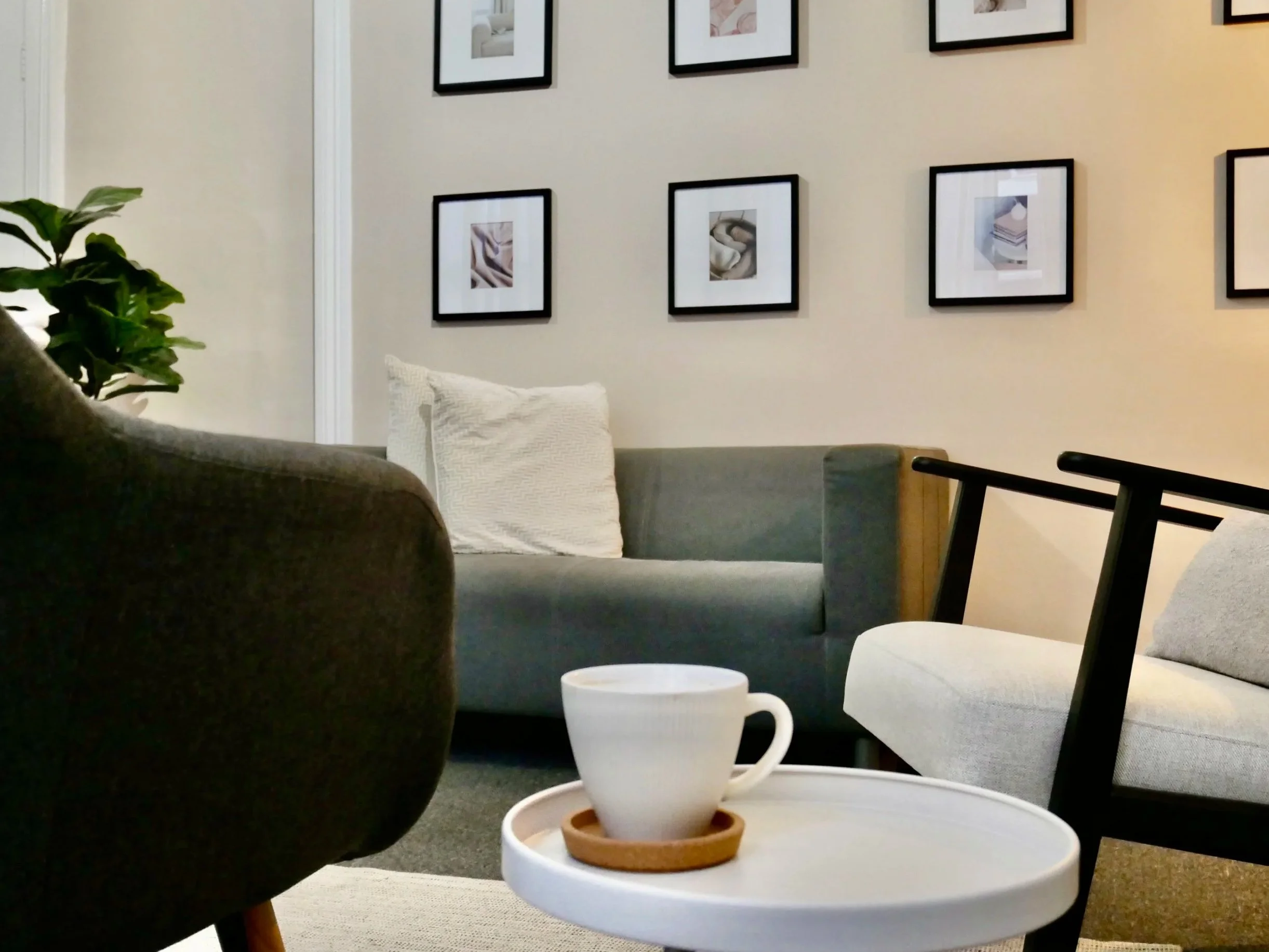 Living room with a gray sofa, white pillows, a black chair, a coffee table with a cup and saucer, and framed wall art, with a large green plant on the left.