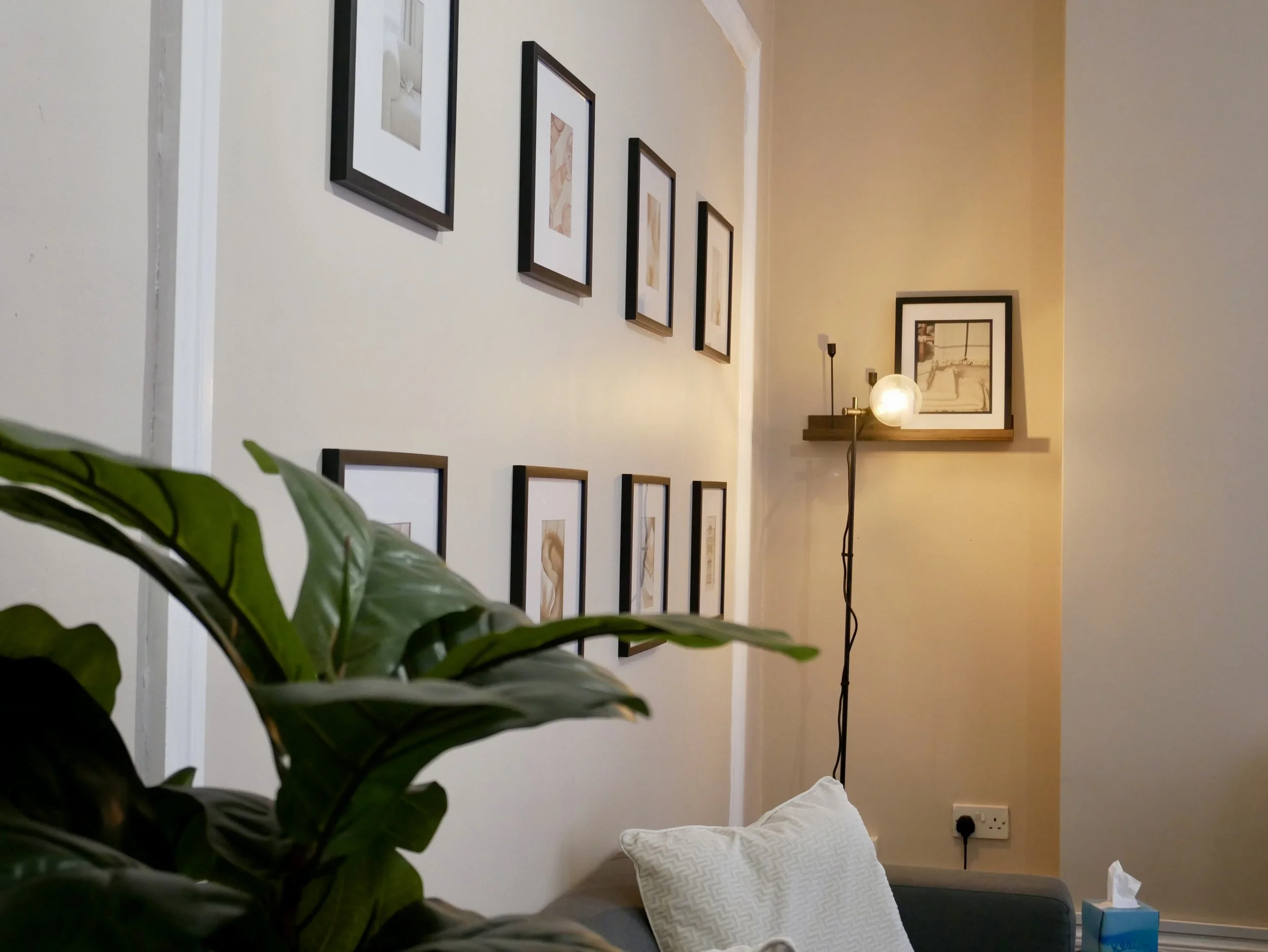Living room with white walls decorated with black-framed artwork, a dark current sofa with a white pillow, a wooden wall shelf with a framed picture and a globe-shaped lamp, a houseplant with large green leaves in the foreground, a plant wall socket, and a white cushion on the sofa.