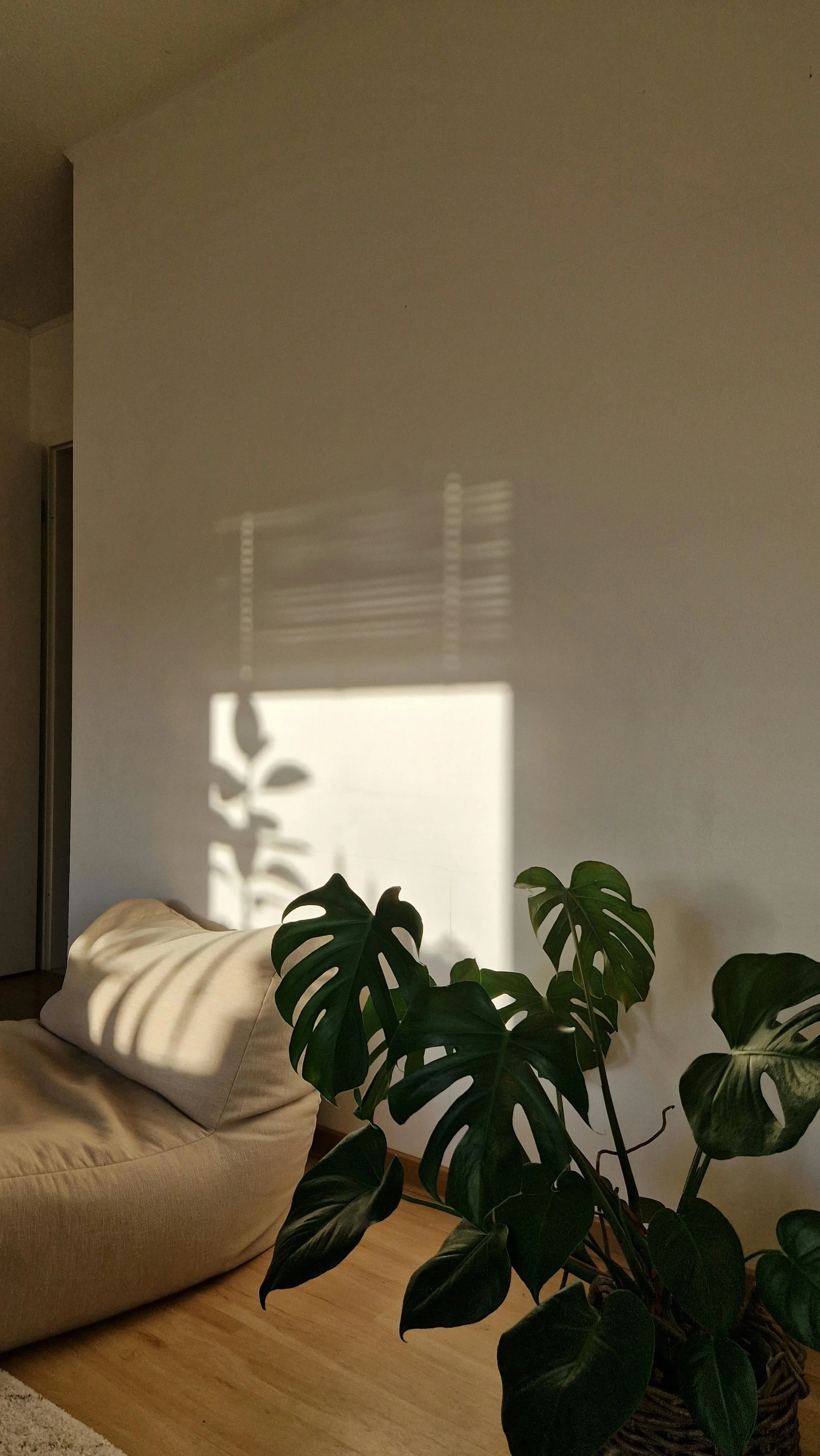 Living room with a beige sofa, green houseplant, and shadows of window blinds cast on a plain beige wall.
