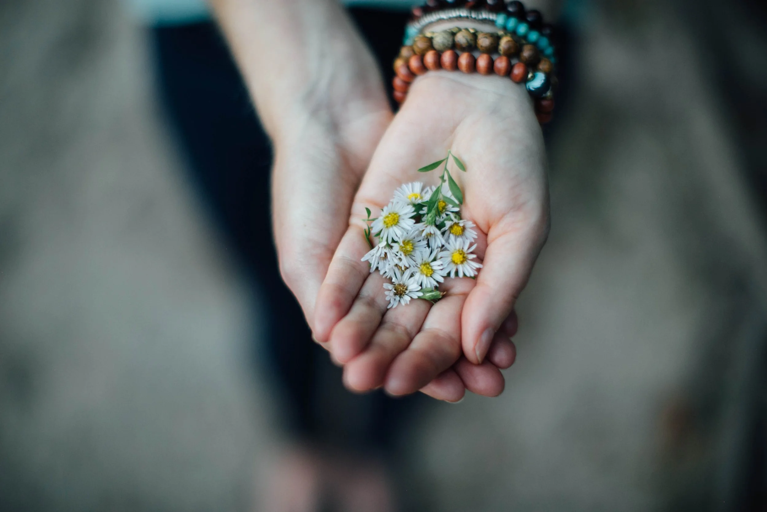 Planting seeds of compassion to let your heart bloom