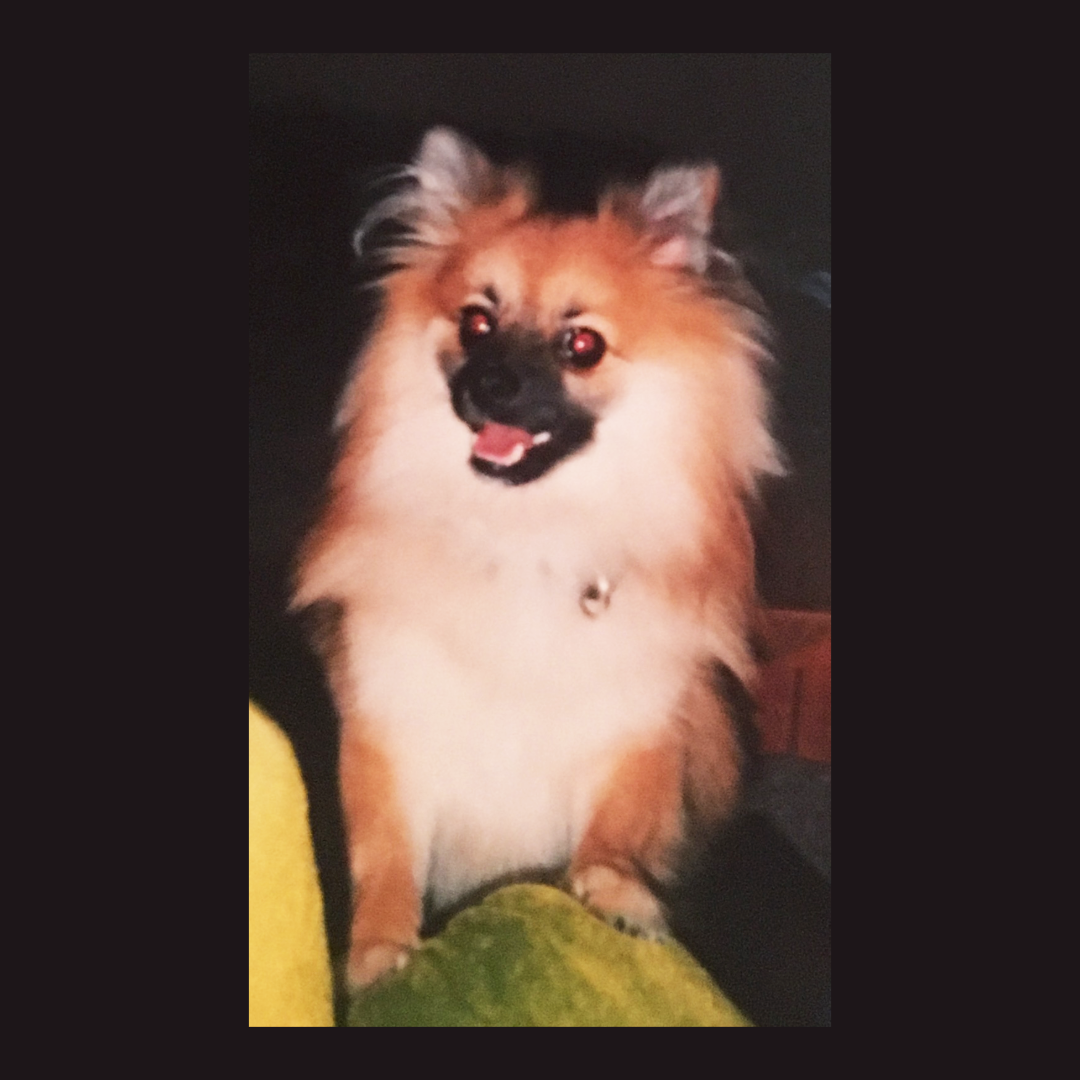 Every Day Without You.