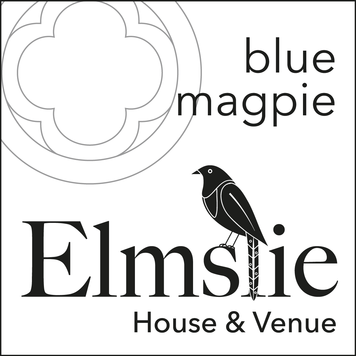 Blue Magpie - Malvern