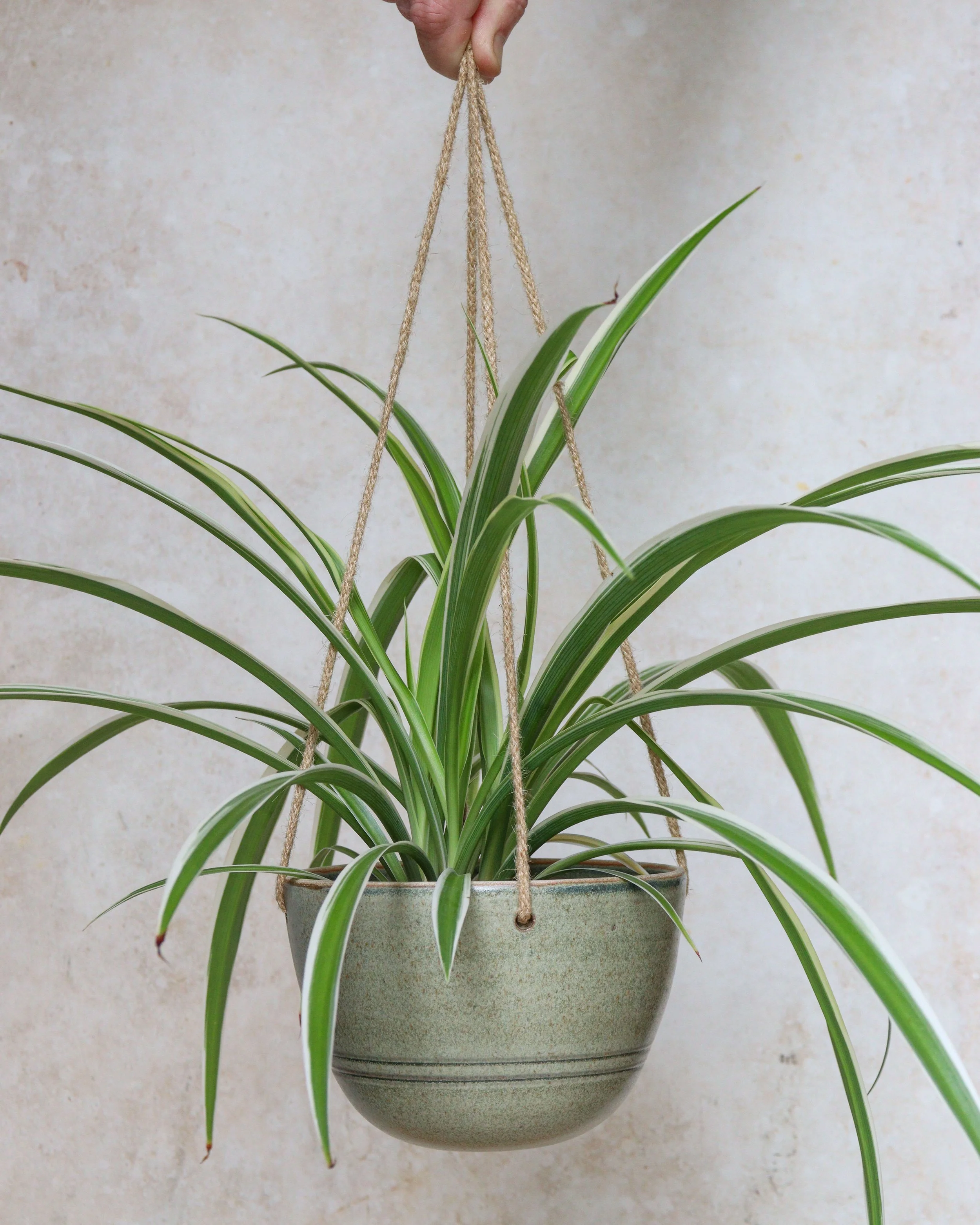Nix Hawkins Ceramics -7536.jpg