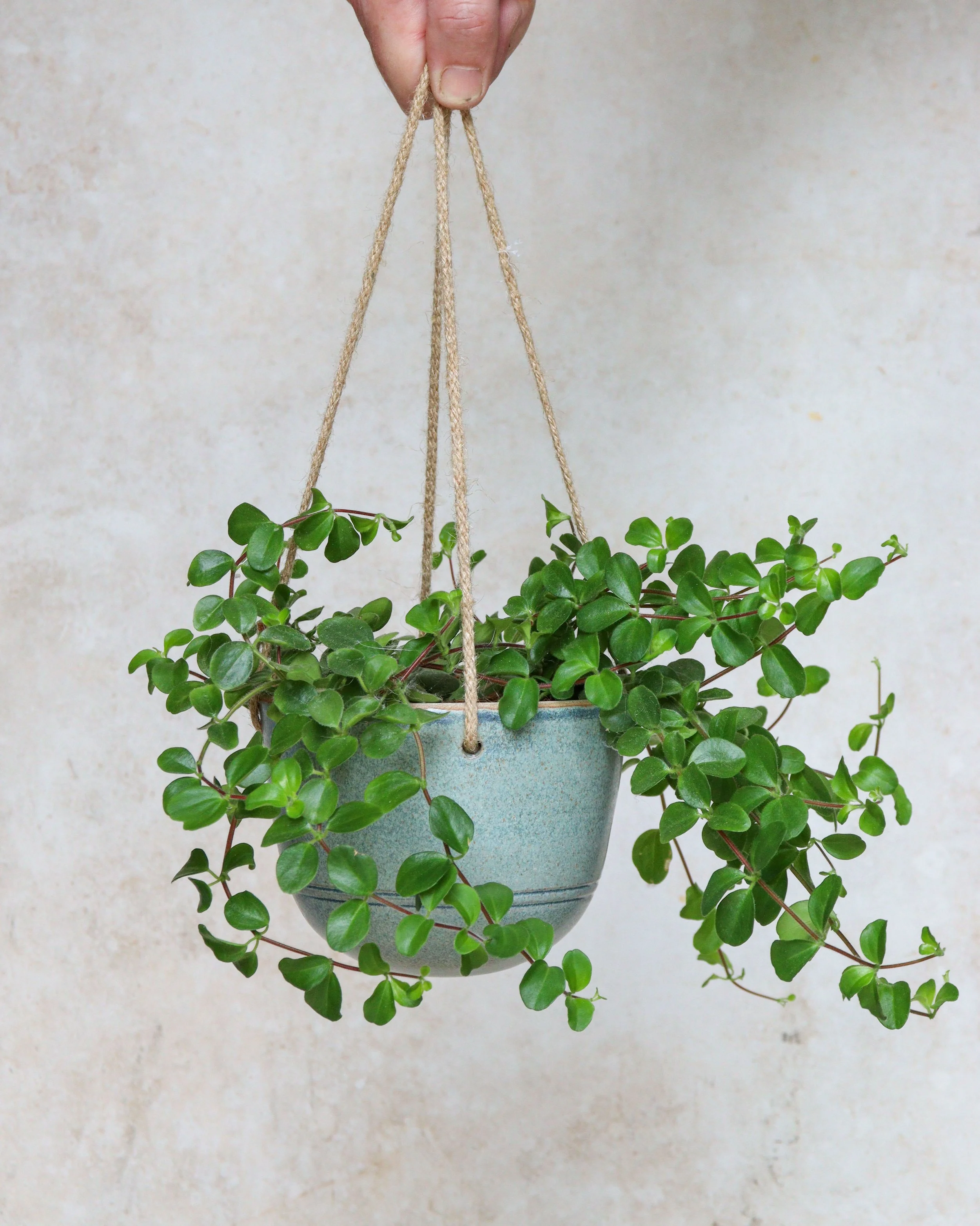 Nix Hawkins Ceramics -7539.jpg