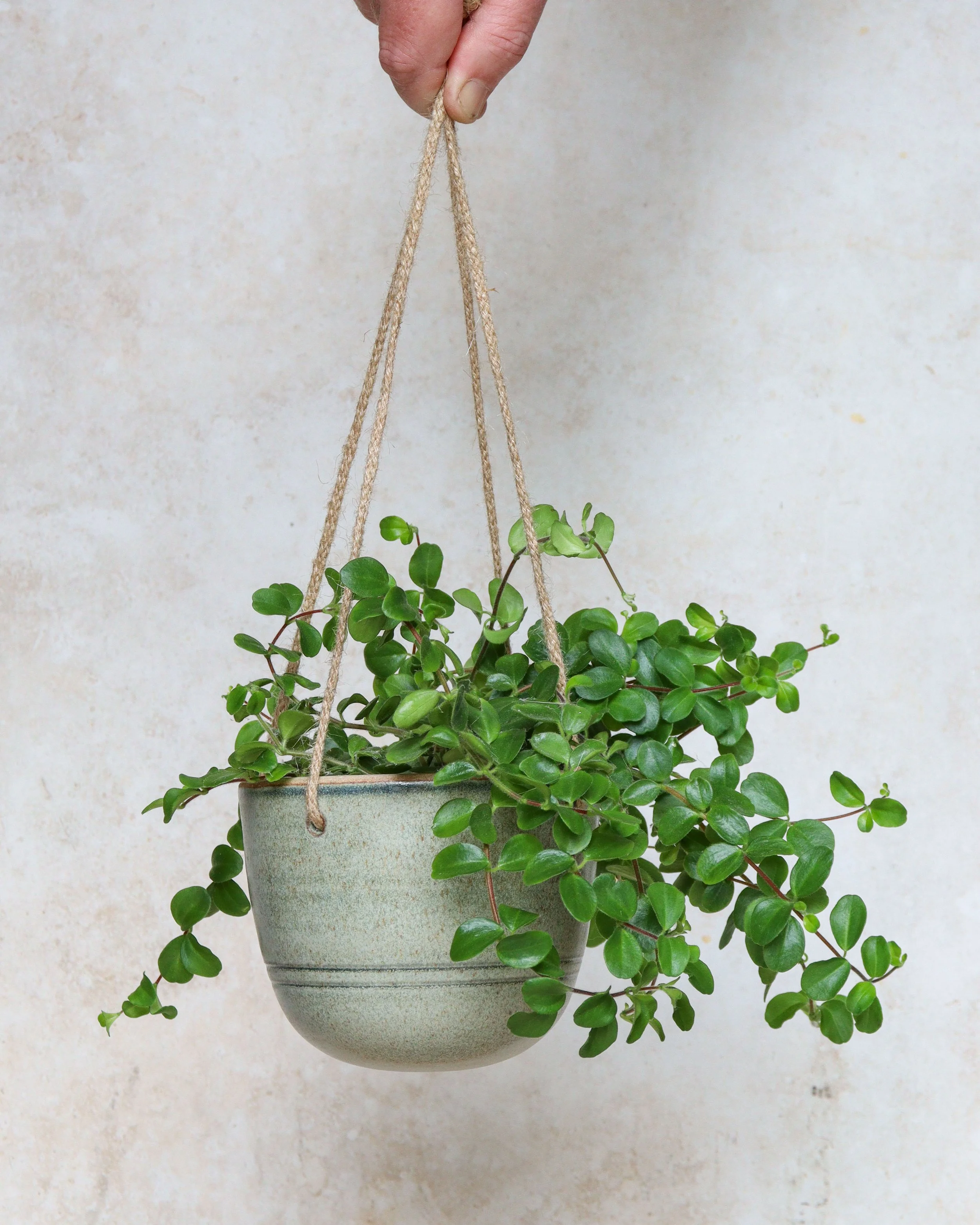 Nix Hawkins Ceramics -7552.jpg