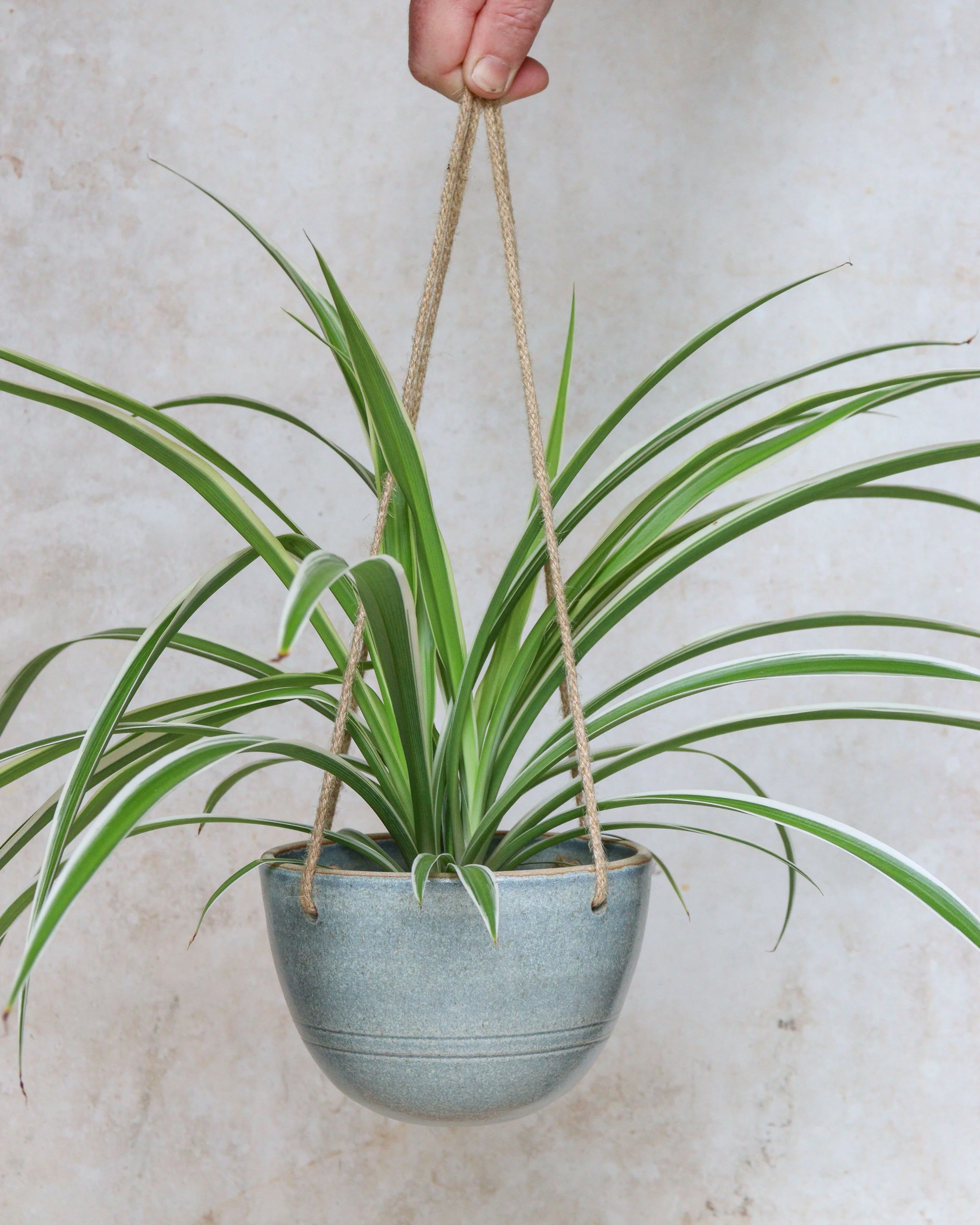 Nix Hawkins Ceramics -7525.jpg