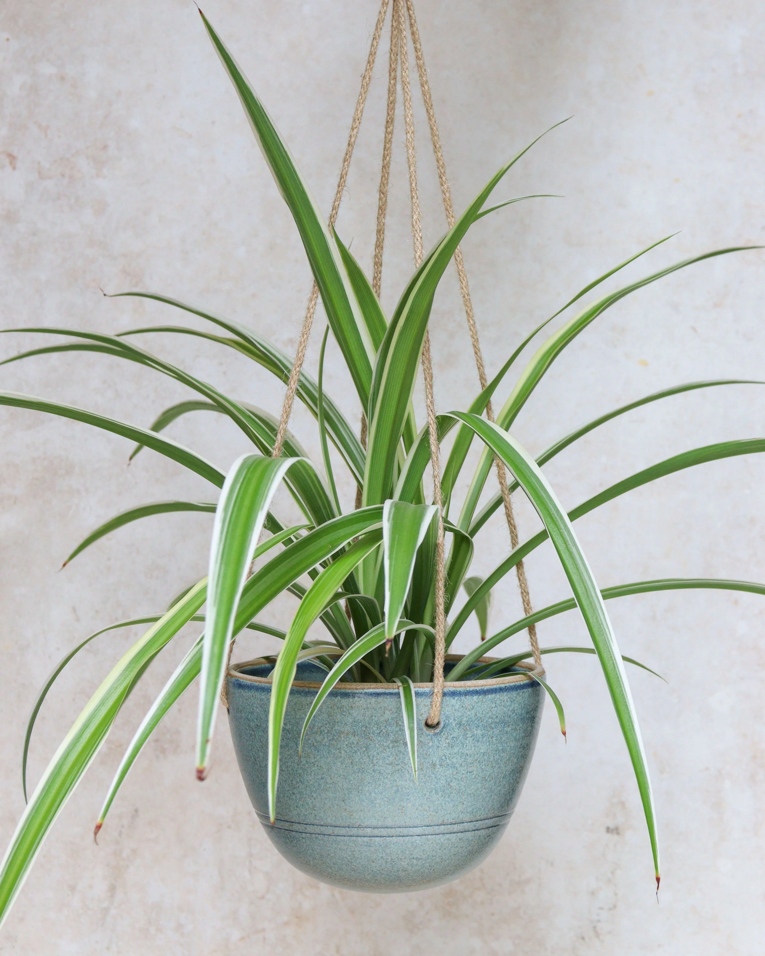 Nix Hawkins Ceramics -7521.jpg