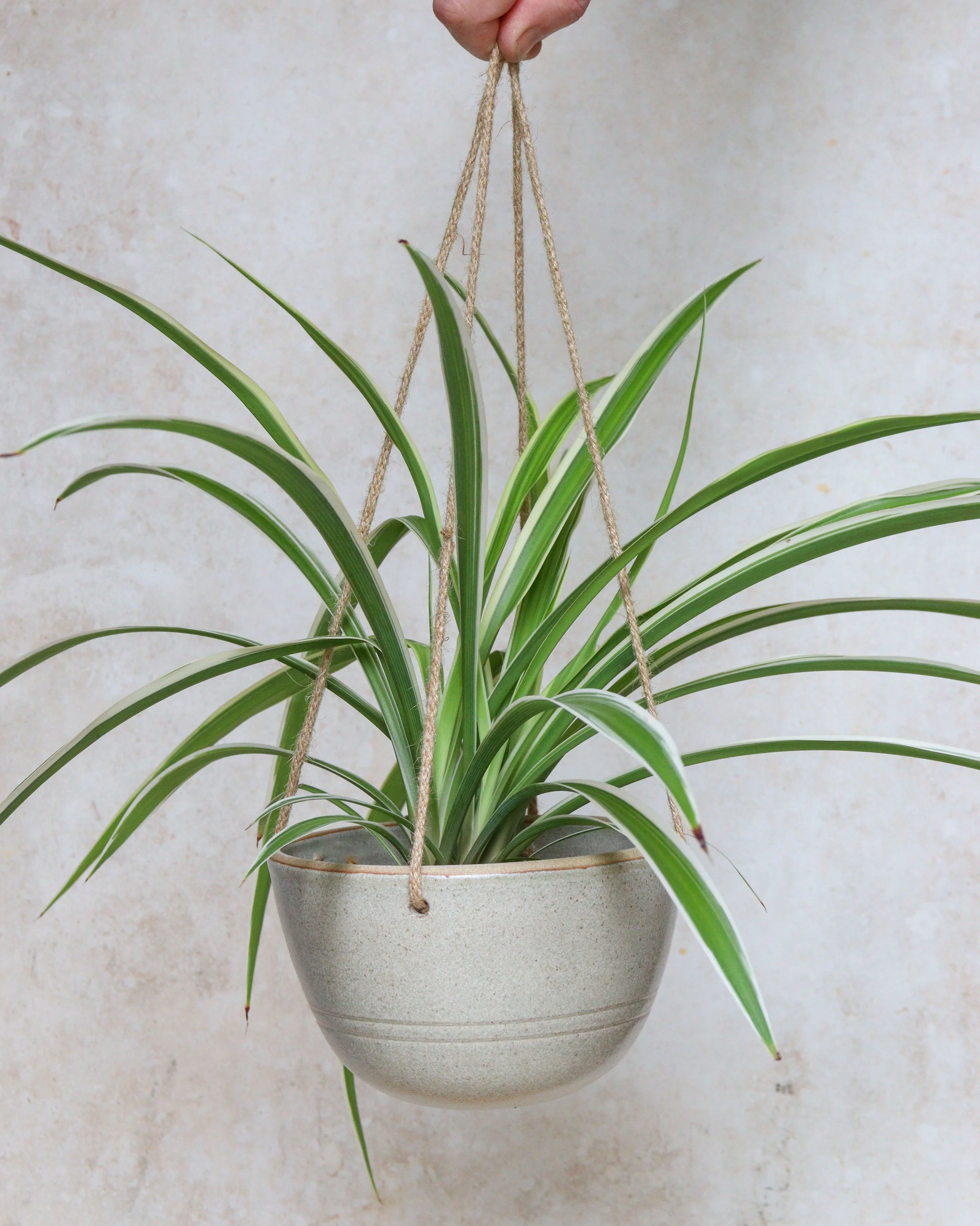 Nix Hawkins Ceramics -7530.jpg