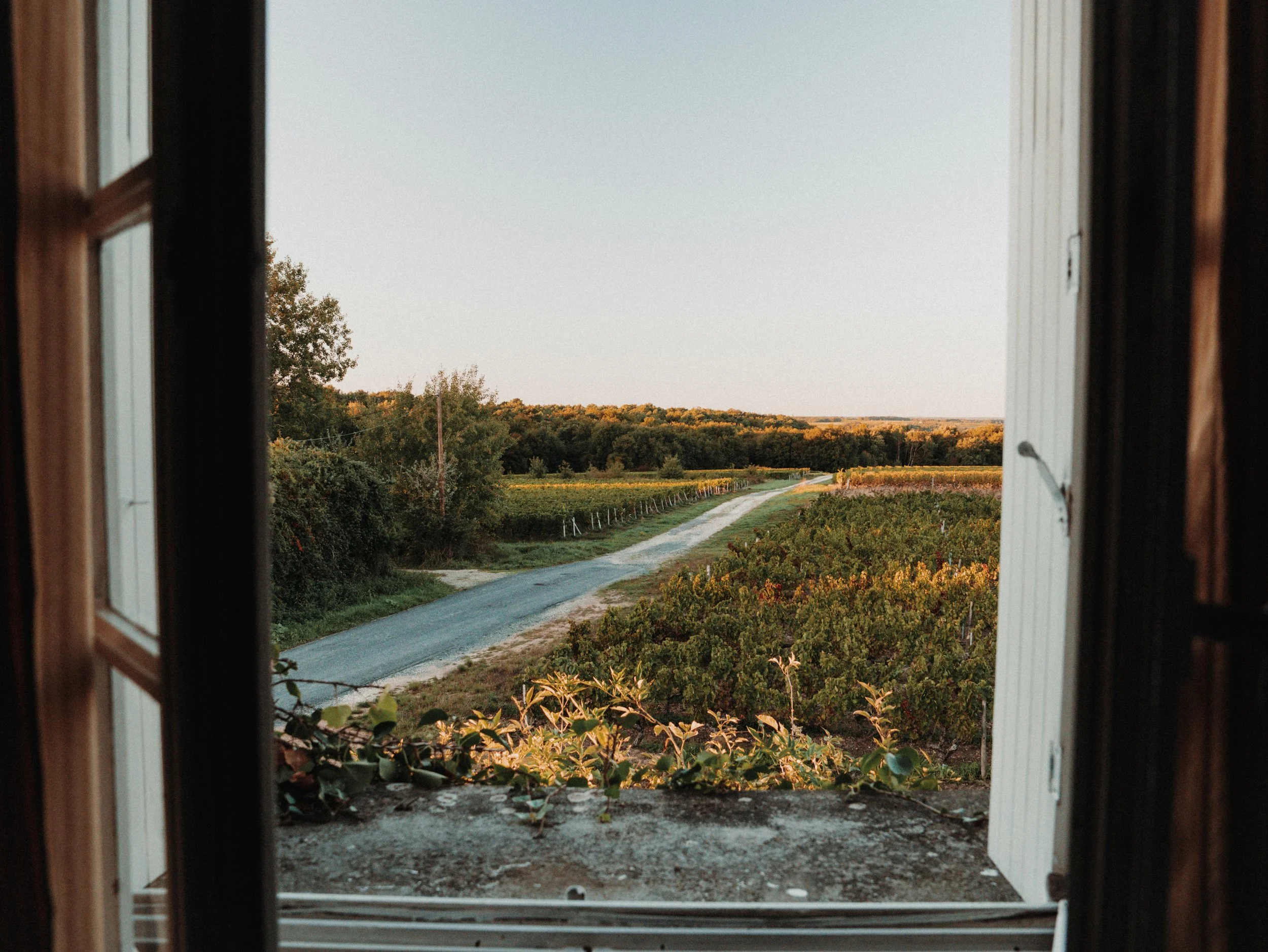 LT_06205-VSCO.jpeg