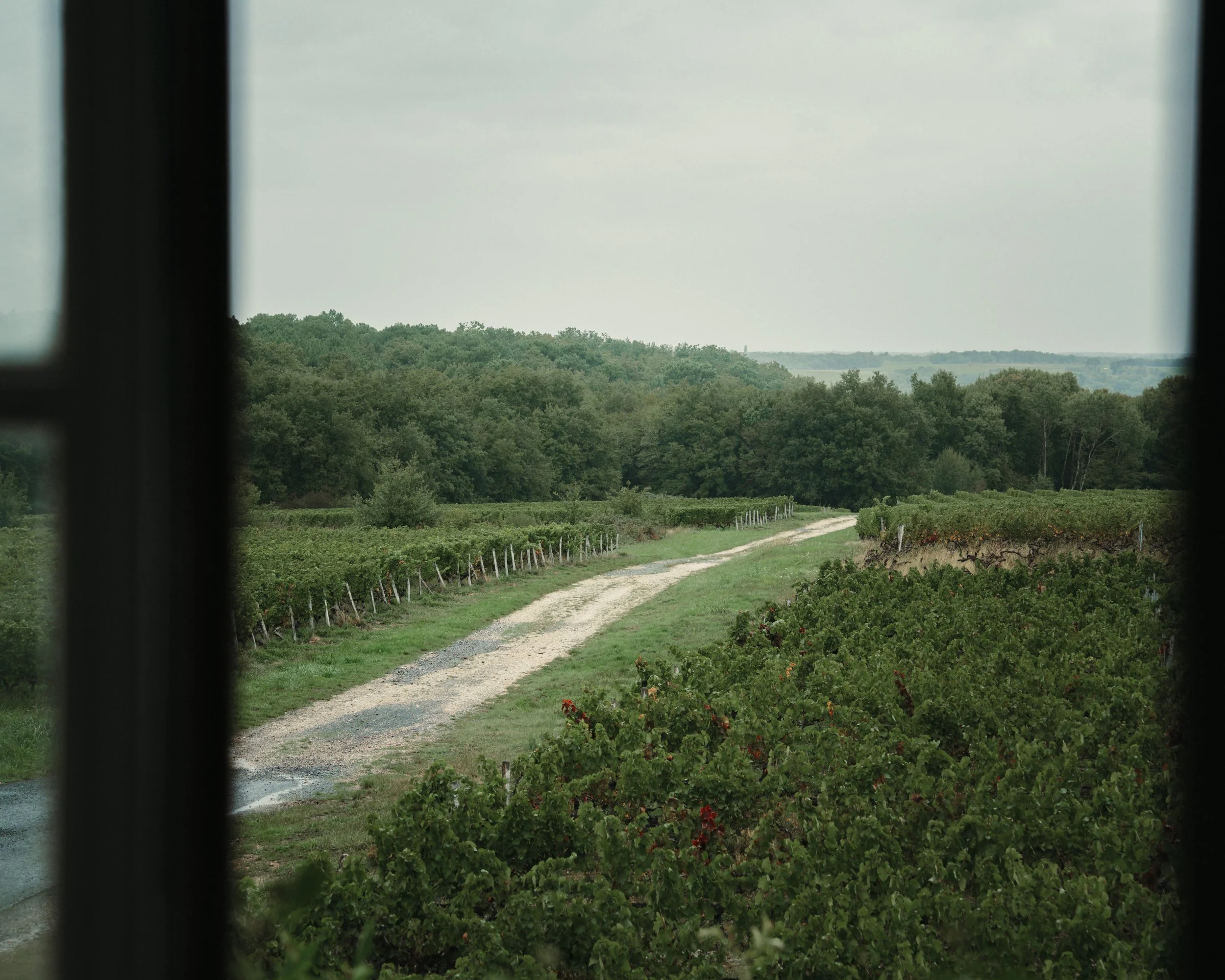 LT_05000.jpg