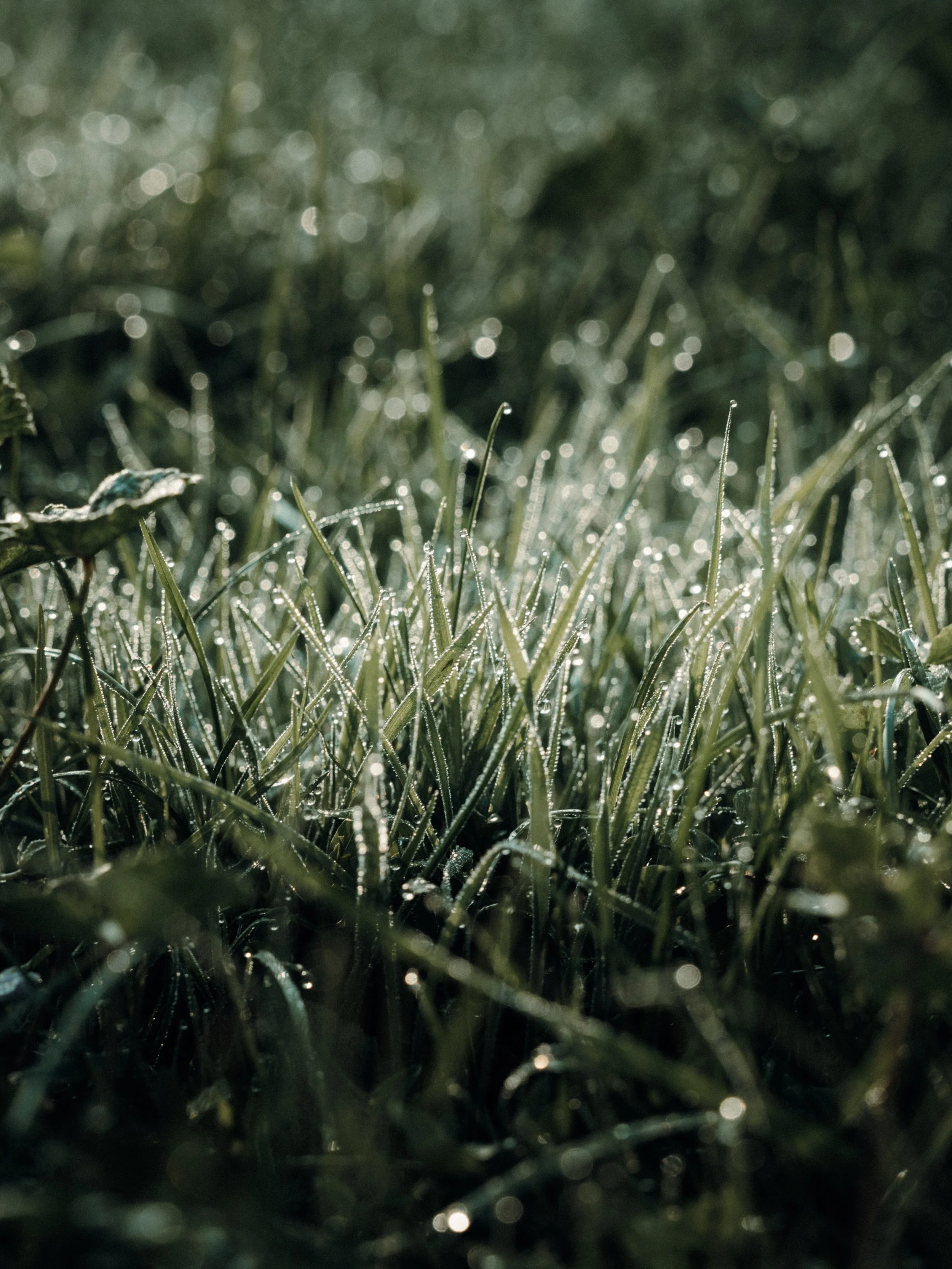 LT_05595.jpg