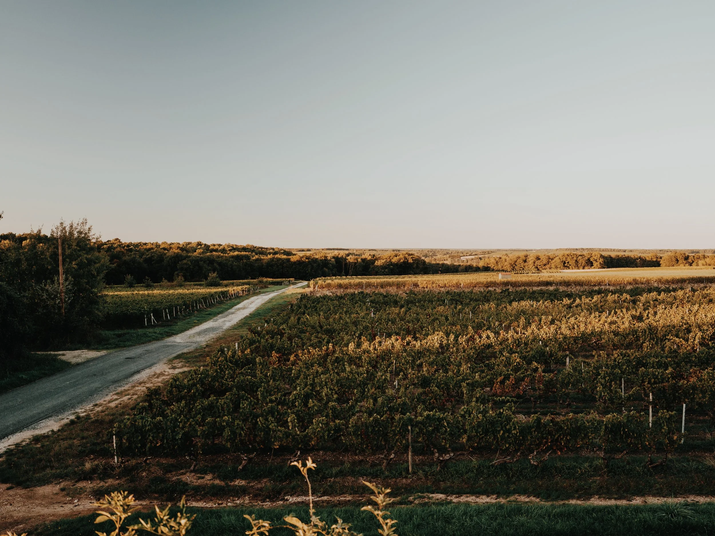 LT_06214-VSCO.jpeg