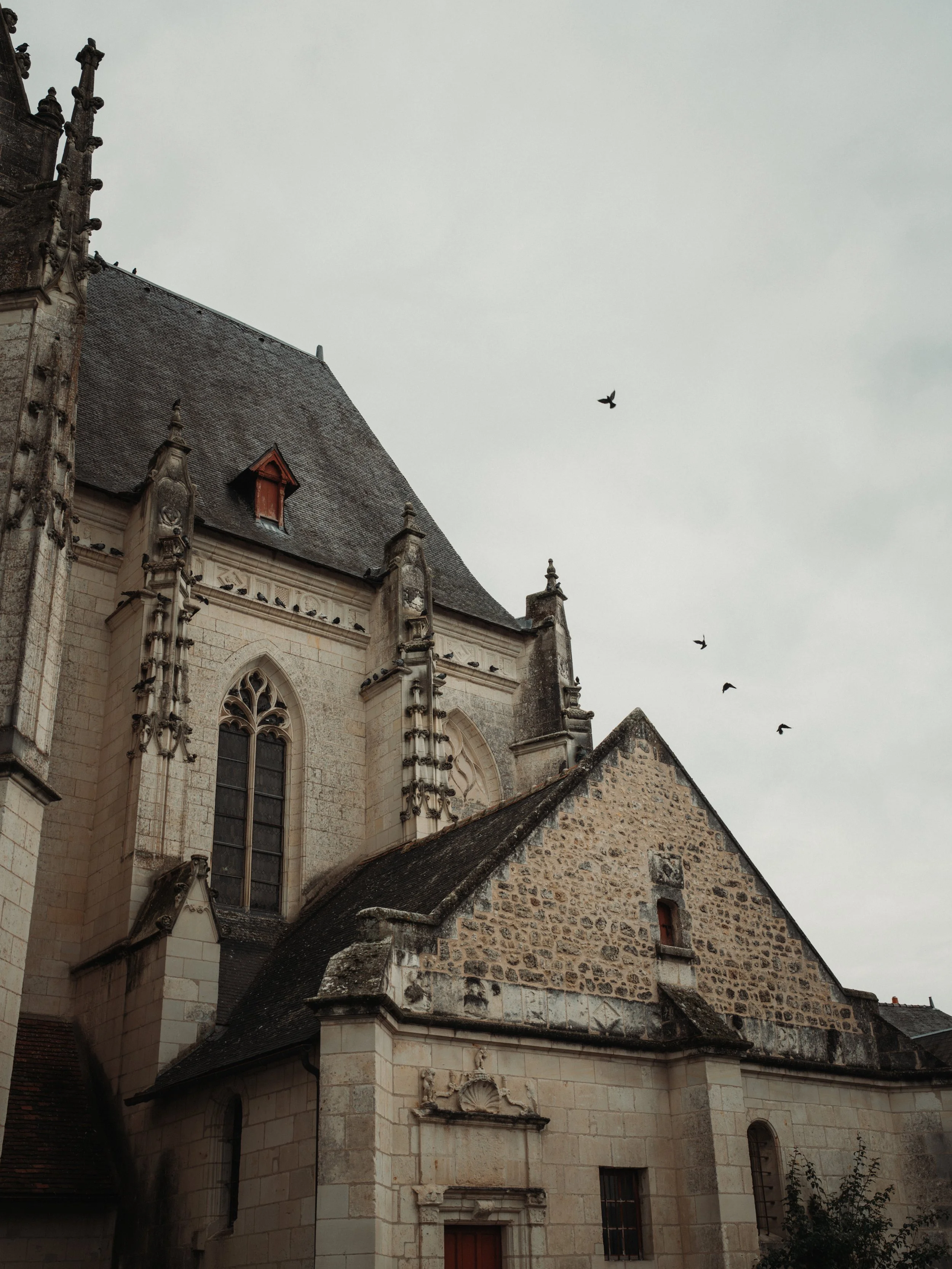 LT_05150.jpg