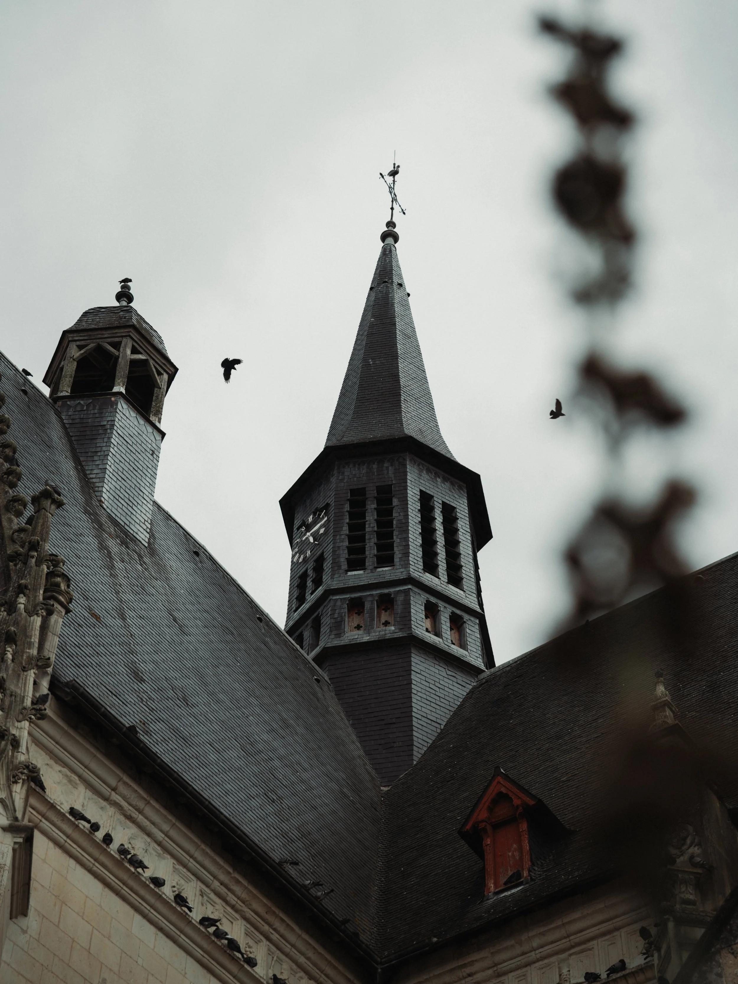 LT_05160.jpg