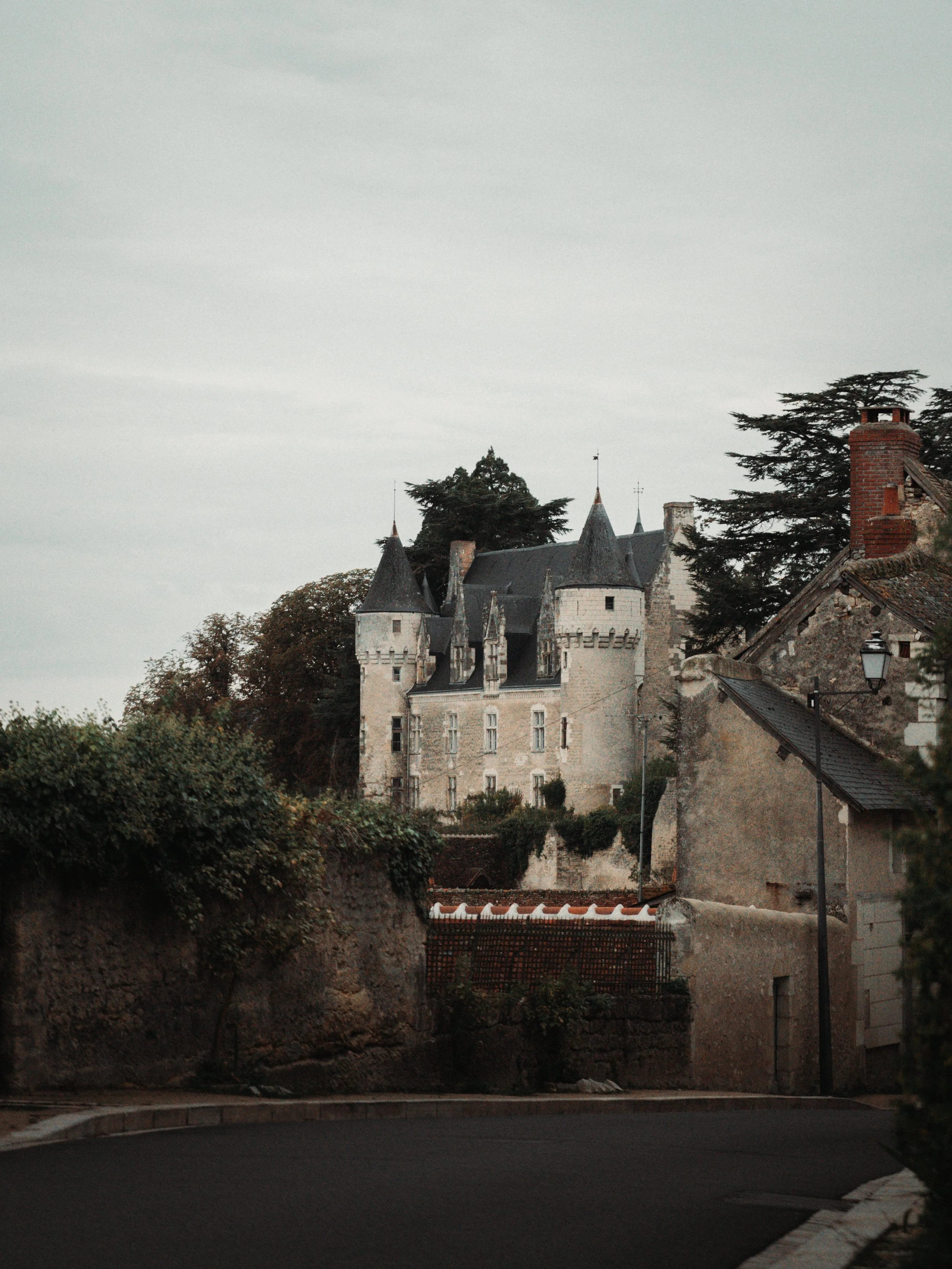 LT_05225.jpg