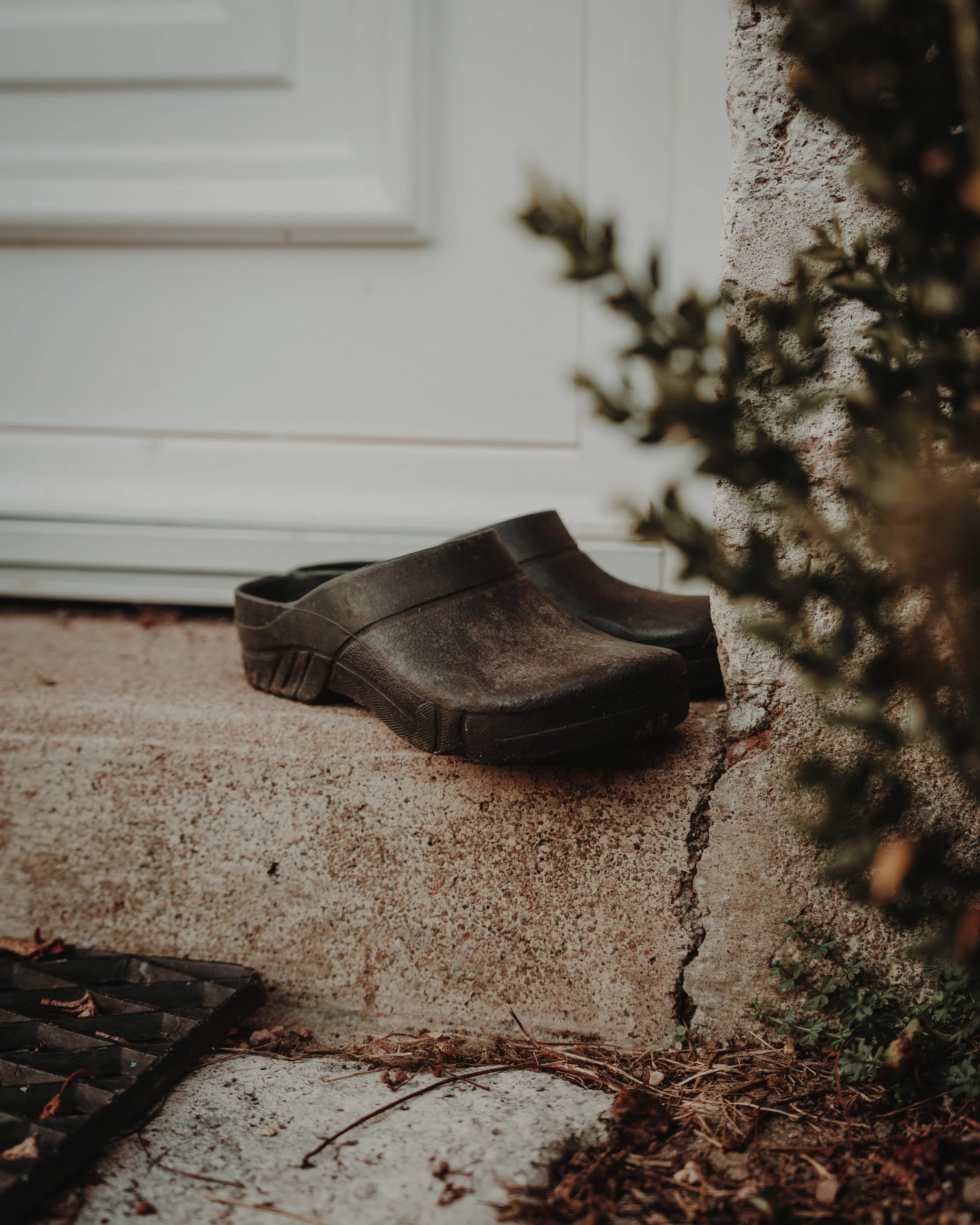 LT_06200-VSCO.jpeg