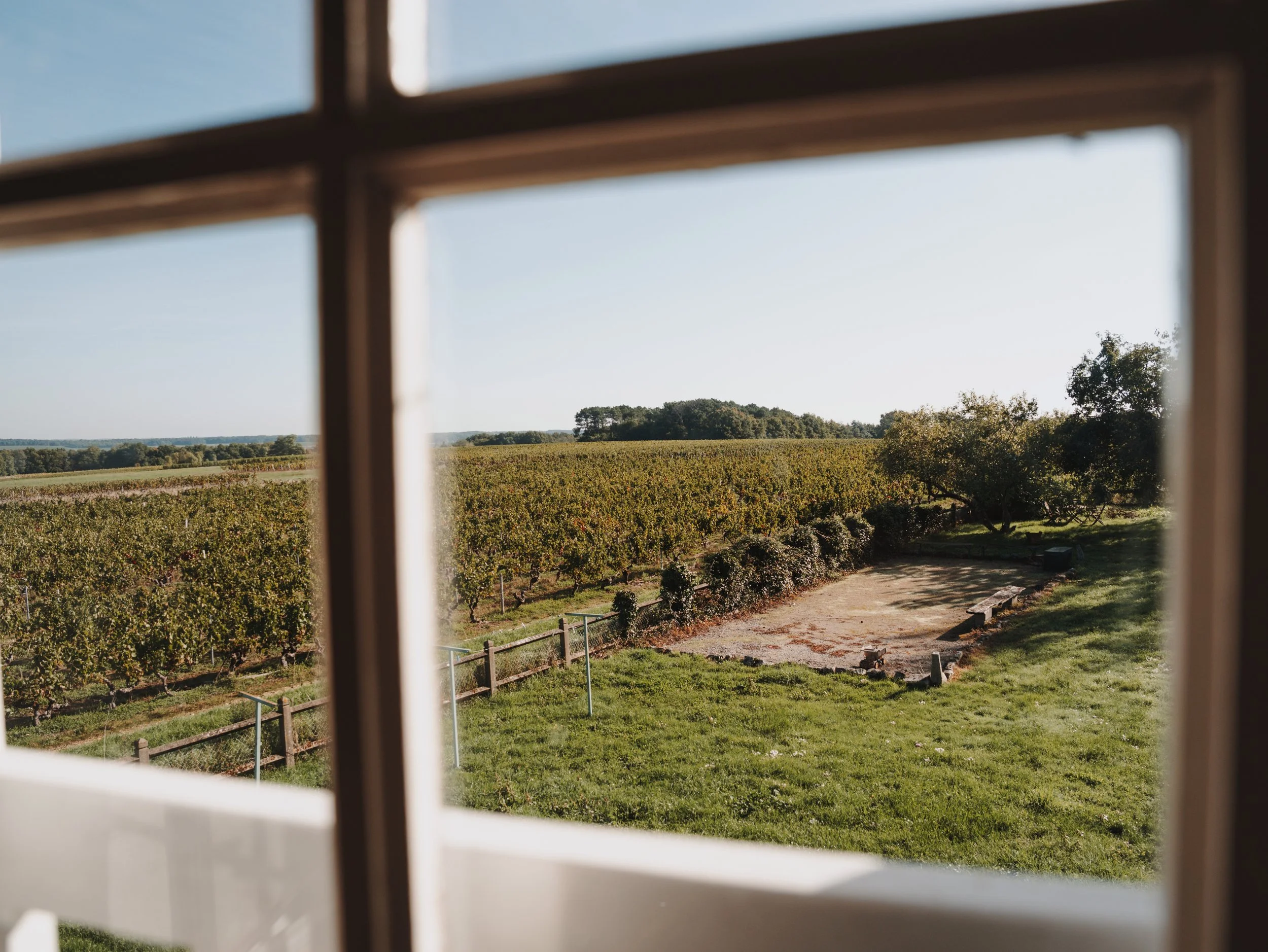 LT_06389-VSCO.jpeg