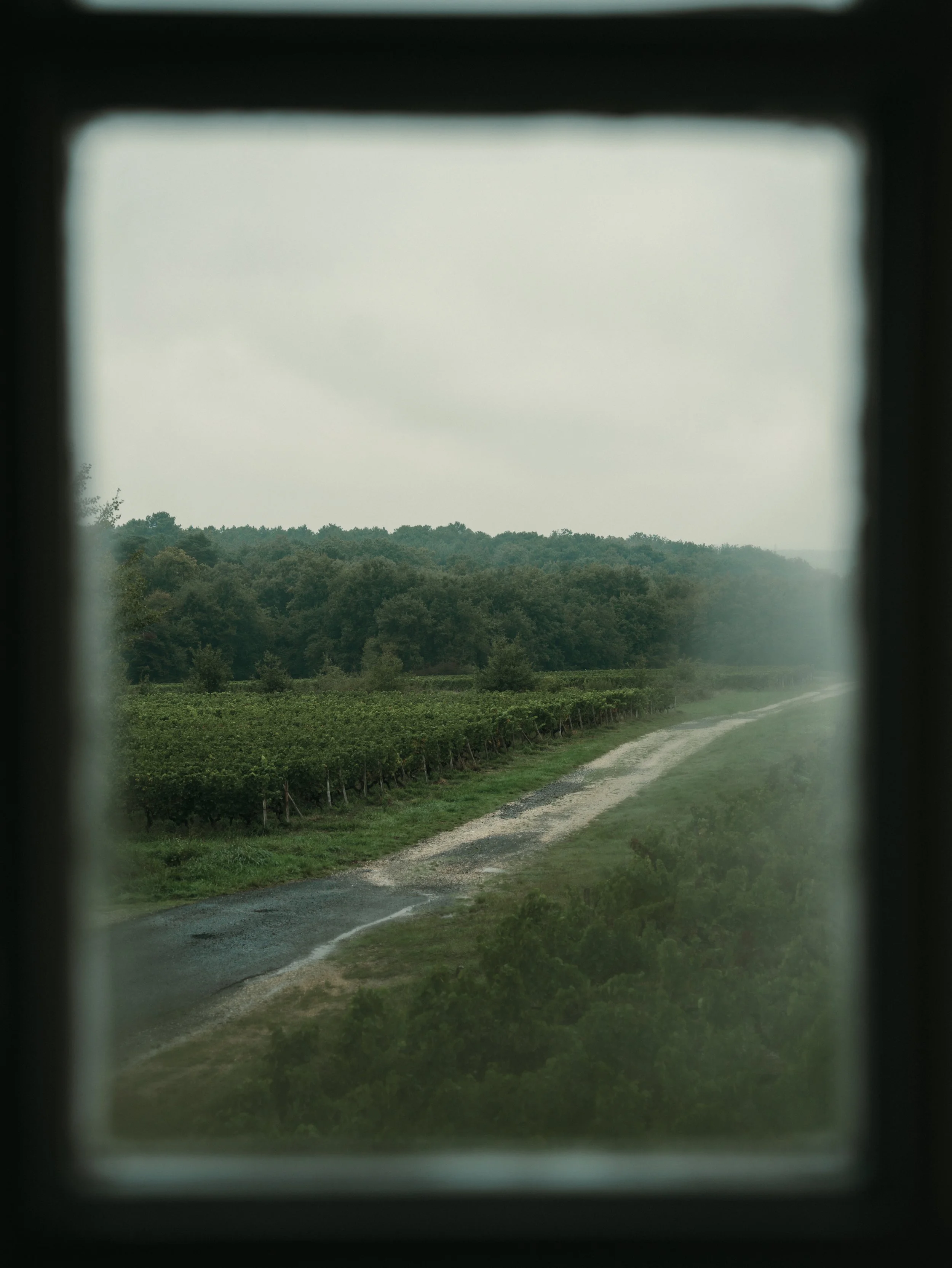 LT_05004.jpg