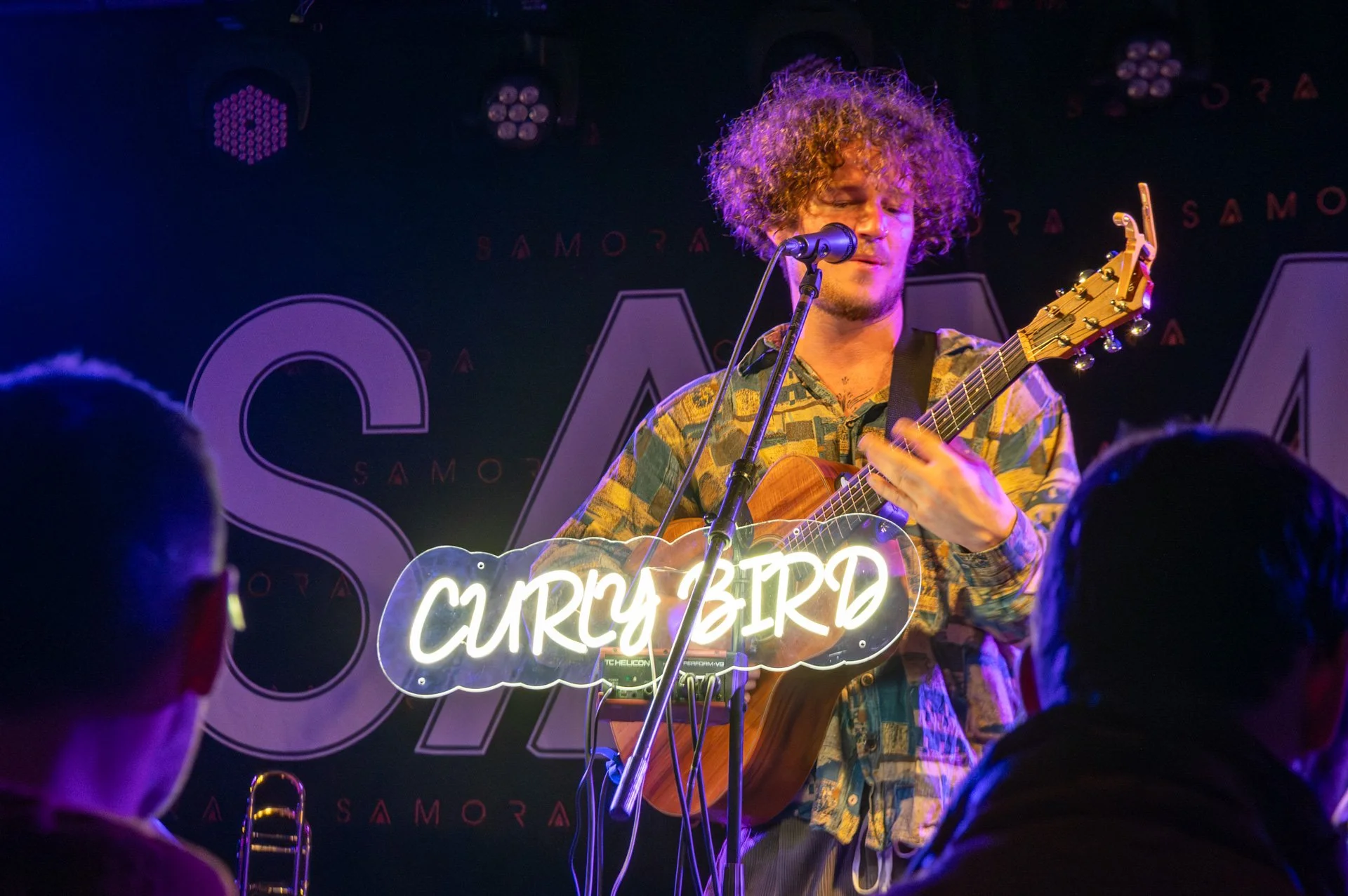 20251219_203  Songbird CurlyBird.JPG