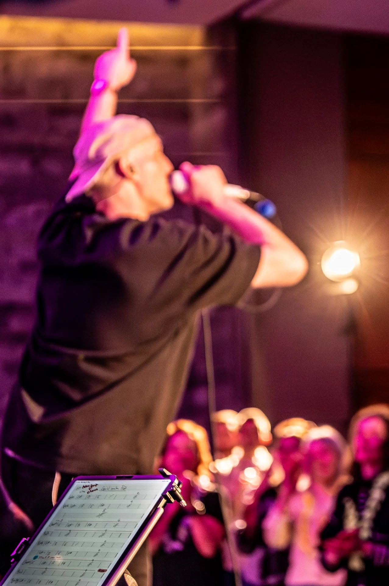 20251206_150 Songbird DomSweden.jpg