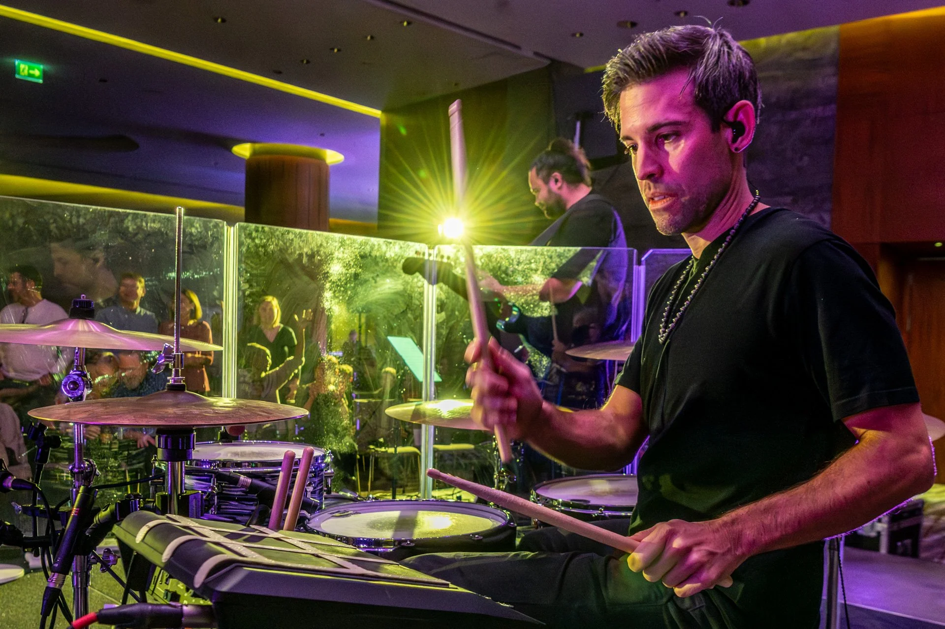 20251206_103 Songbird DomSweden.JPG