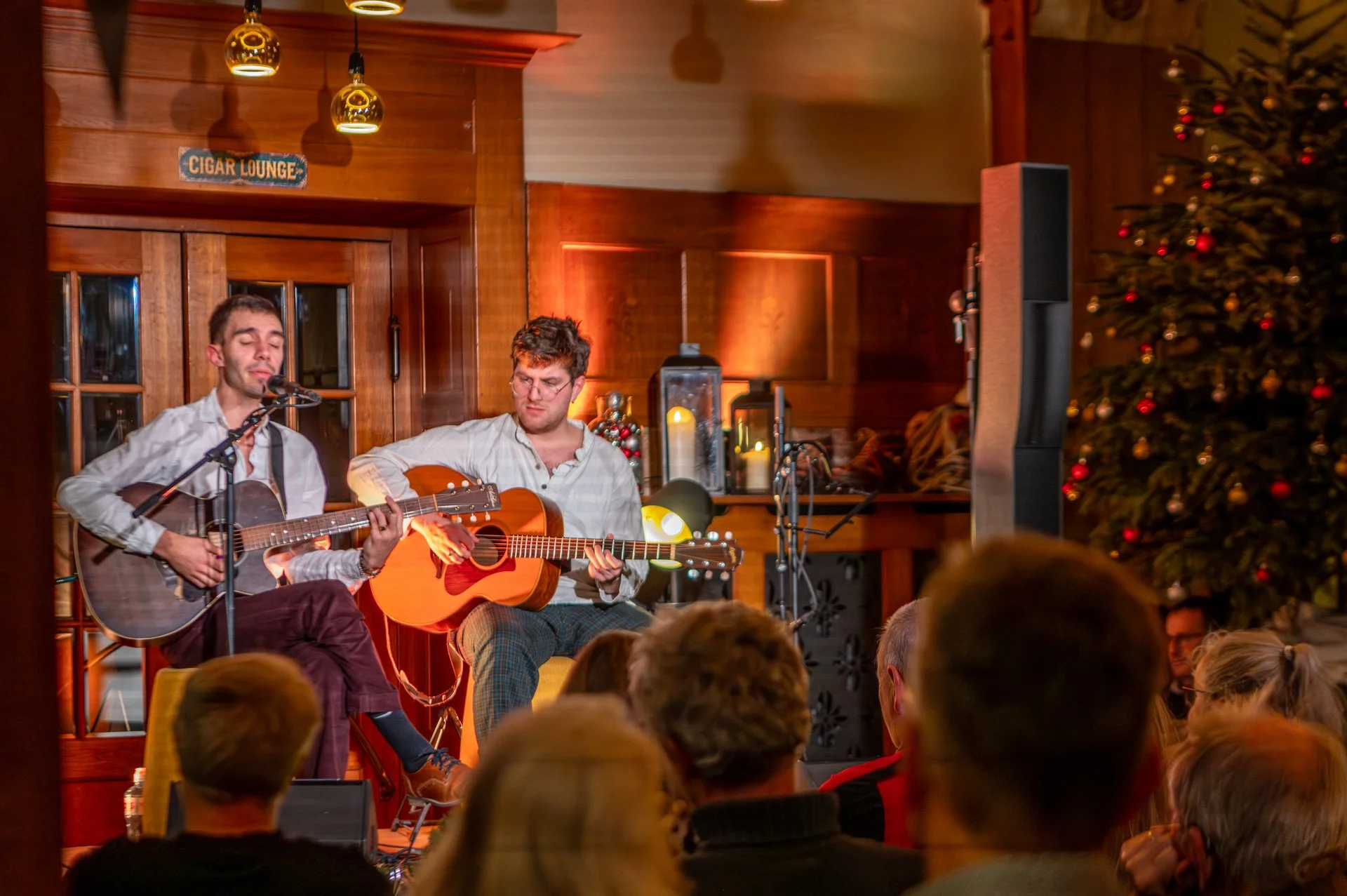 20251218_148  Songbird David Dialma.jpg