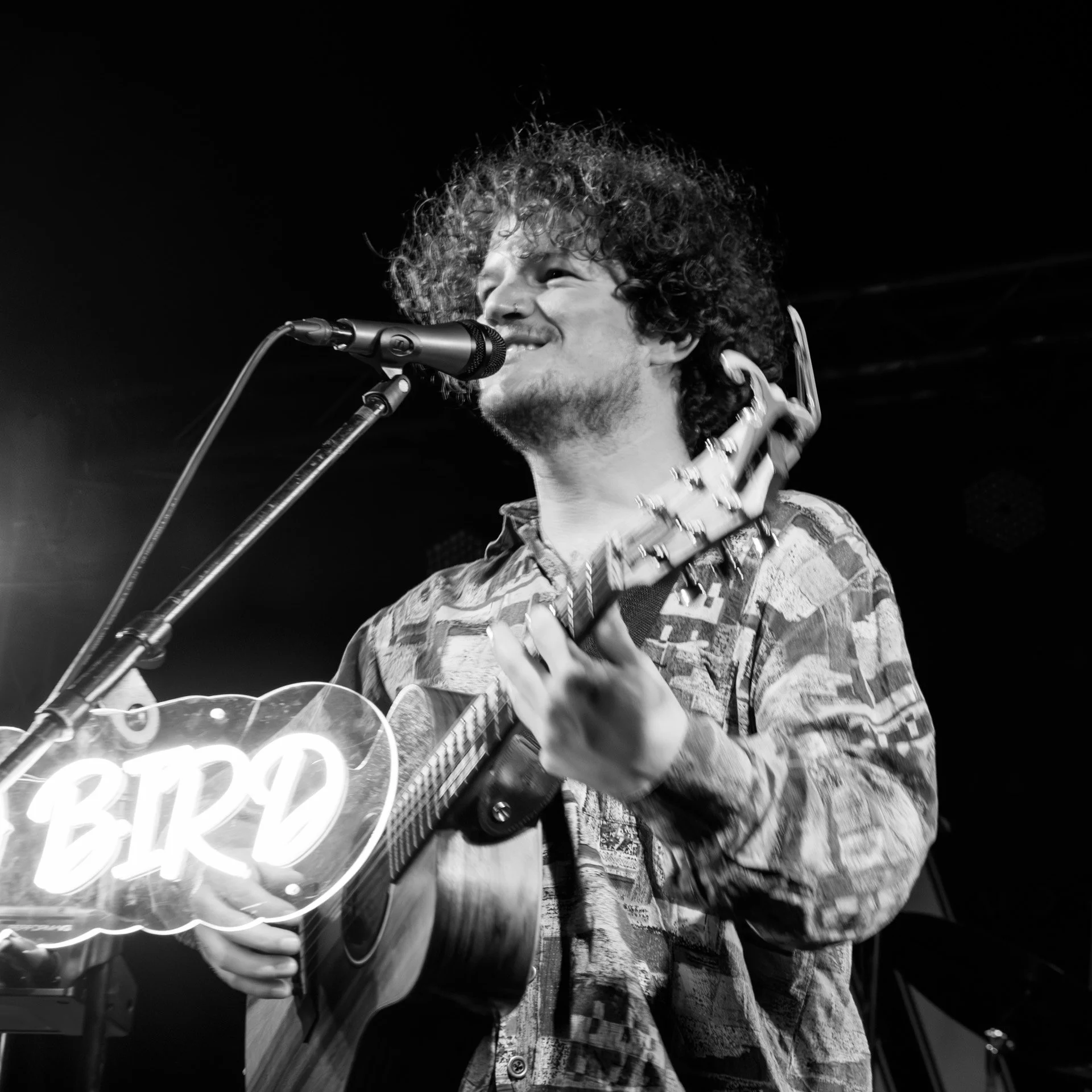 20251219_201  Songbird CurlyBird.JPG