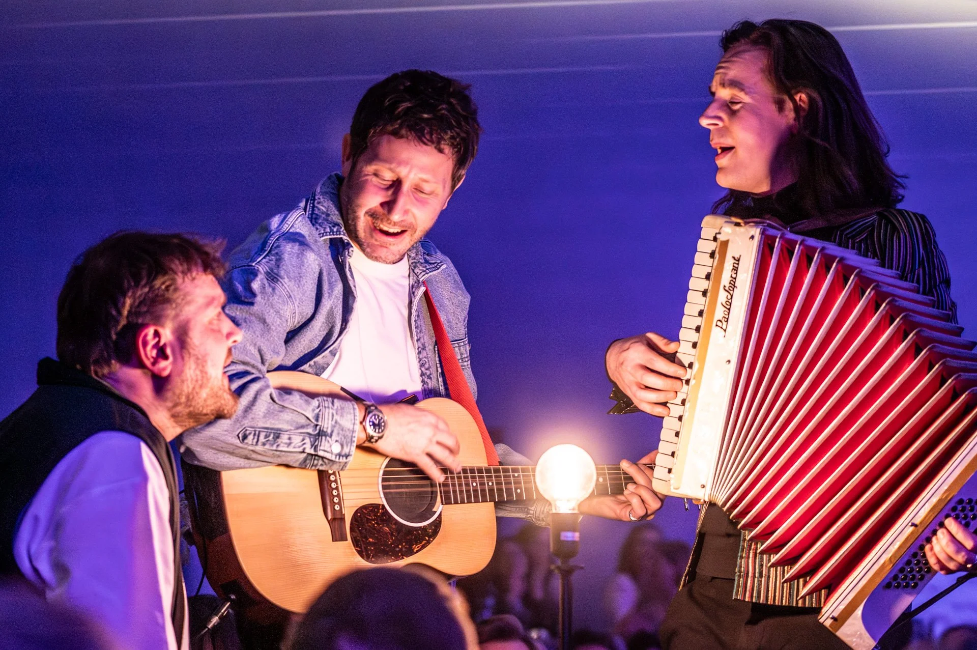 20251205_687 Songbird BabaShrimps.jpg