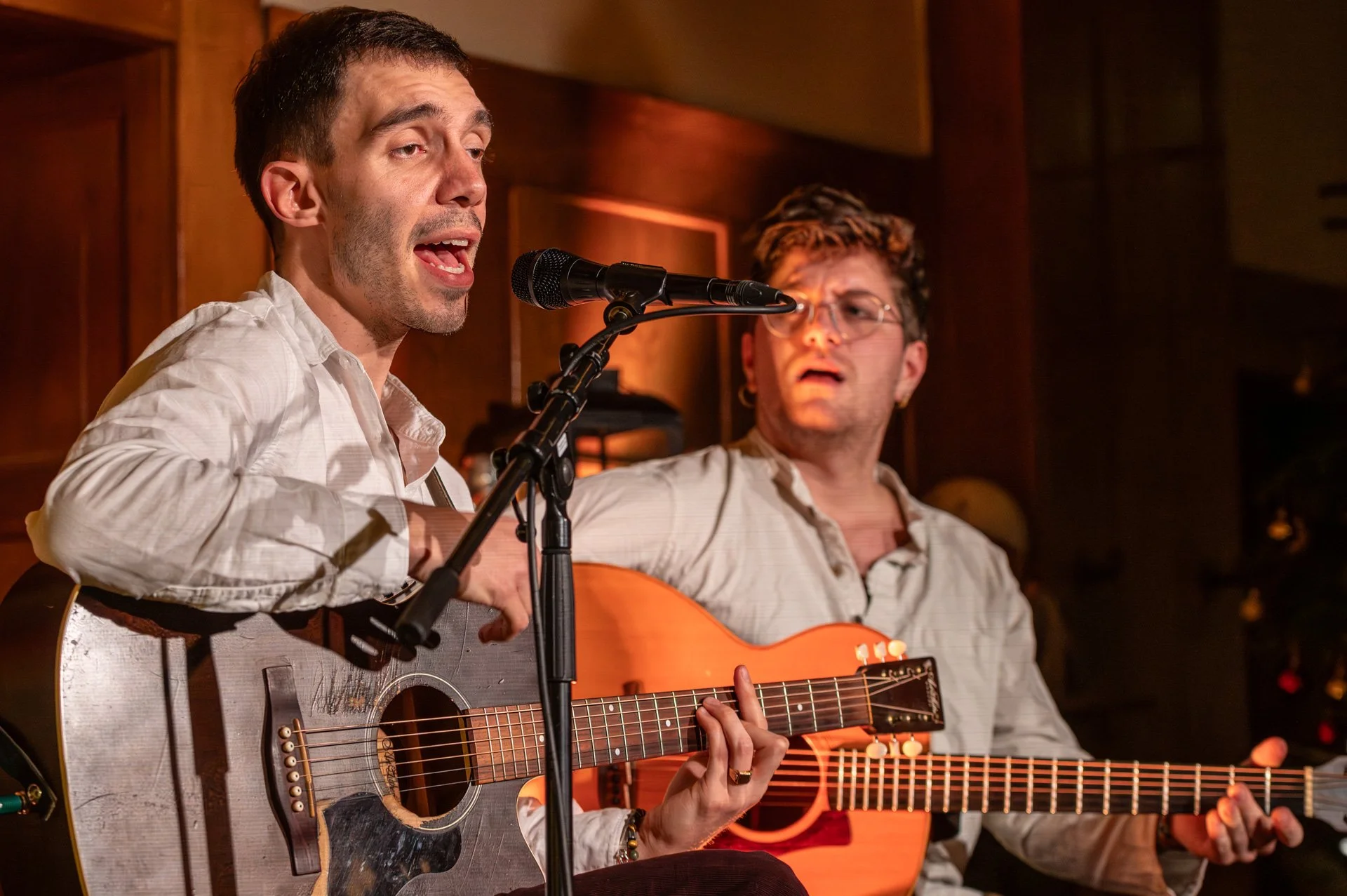 20251218_144  Songbird David Dialma.jpg