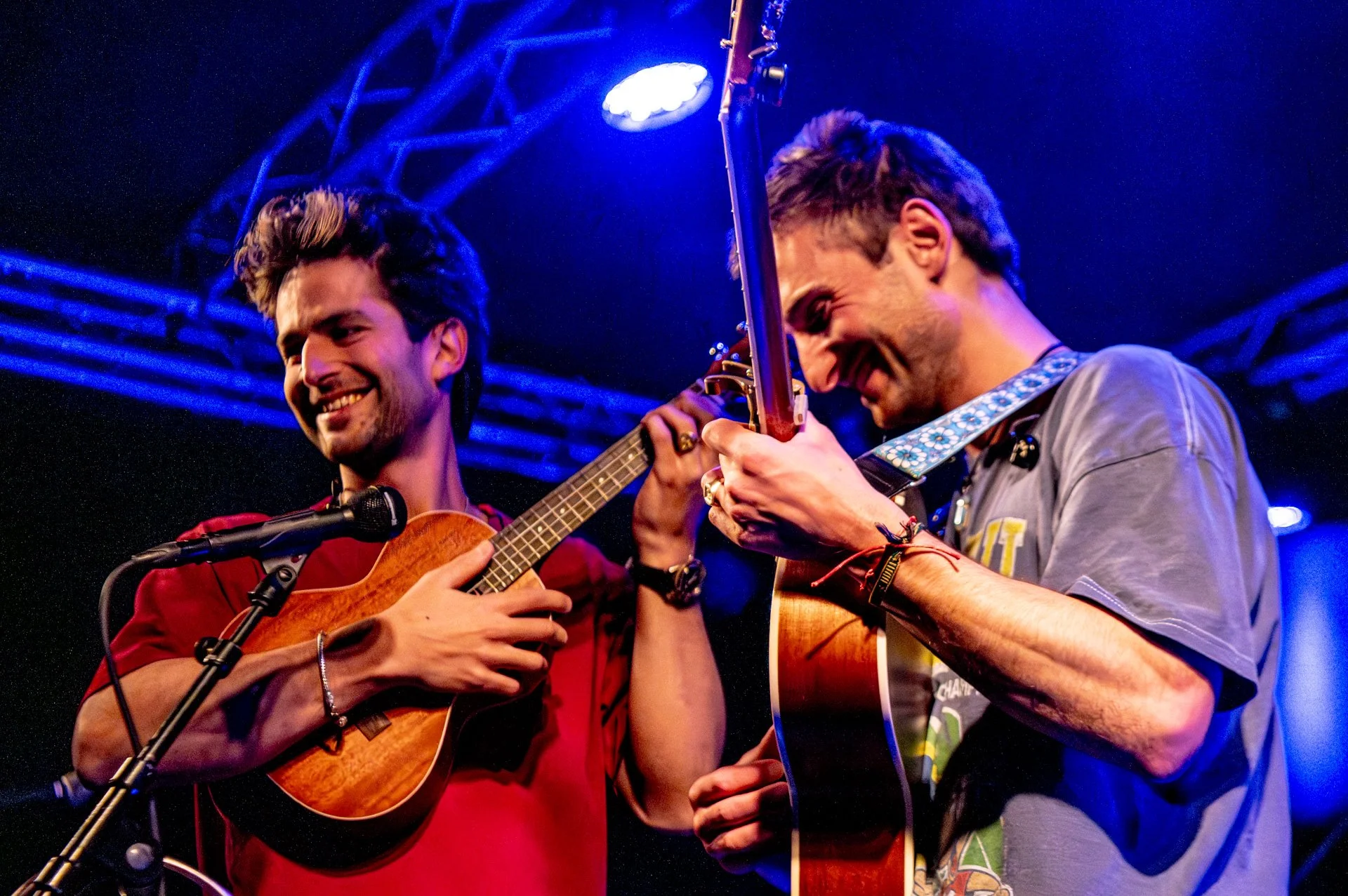 20251220_149  Songbird Cachita.JPG