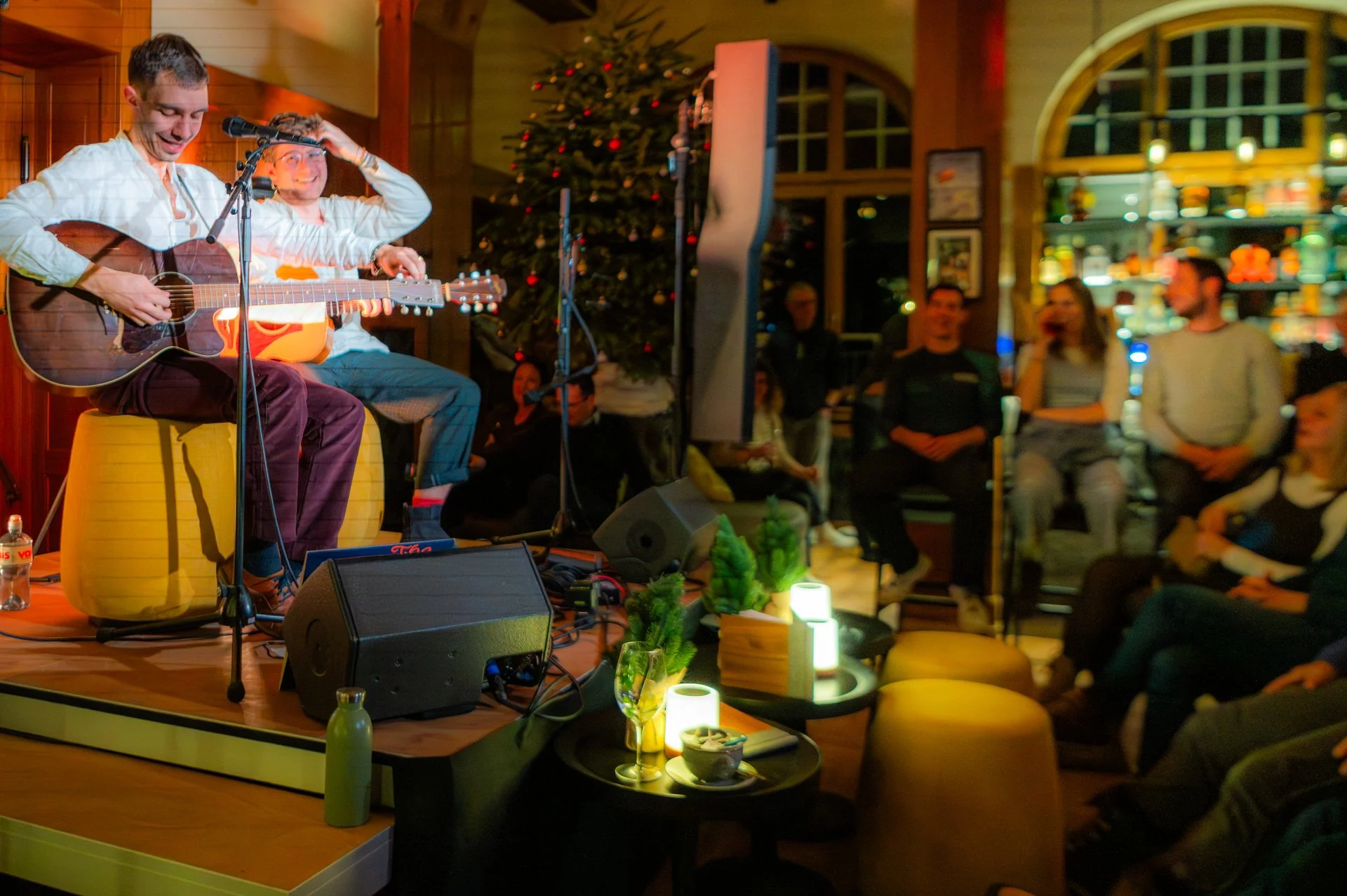 20251218_143  Songbird David Dialma.jpg