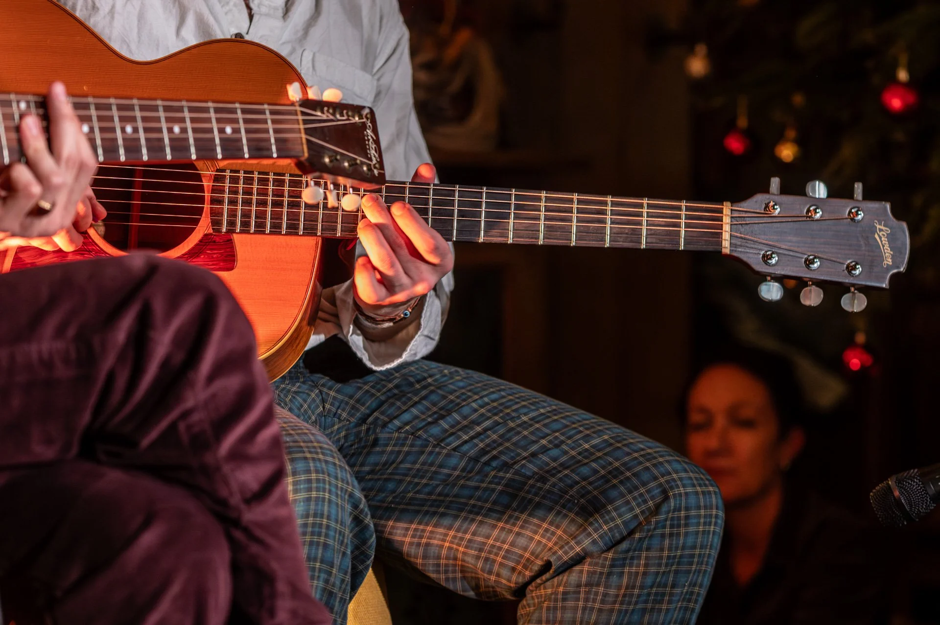 20251218_153  Songbird David Dialma.jpg