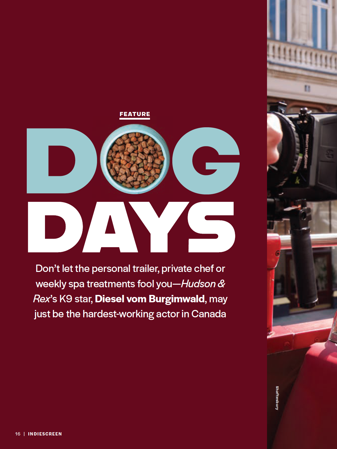 Behind the scenes of  Hudson & Rex  with Diesel vom Burgimwald and his trainer (featuring a Q&A with the K9 star himself!)