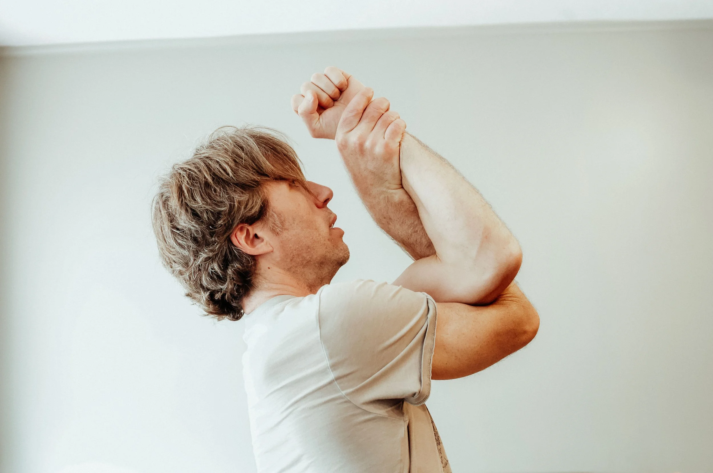 Functional Capacity: A 5hr Online Training w Michael Torrant