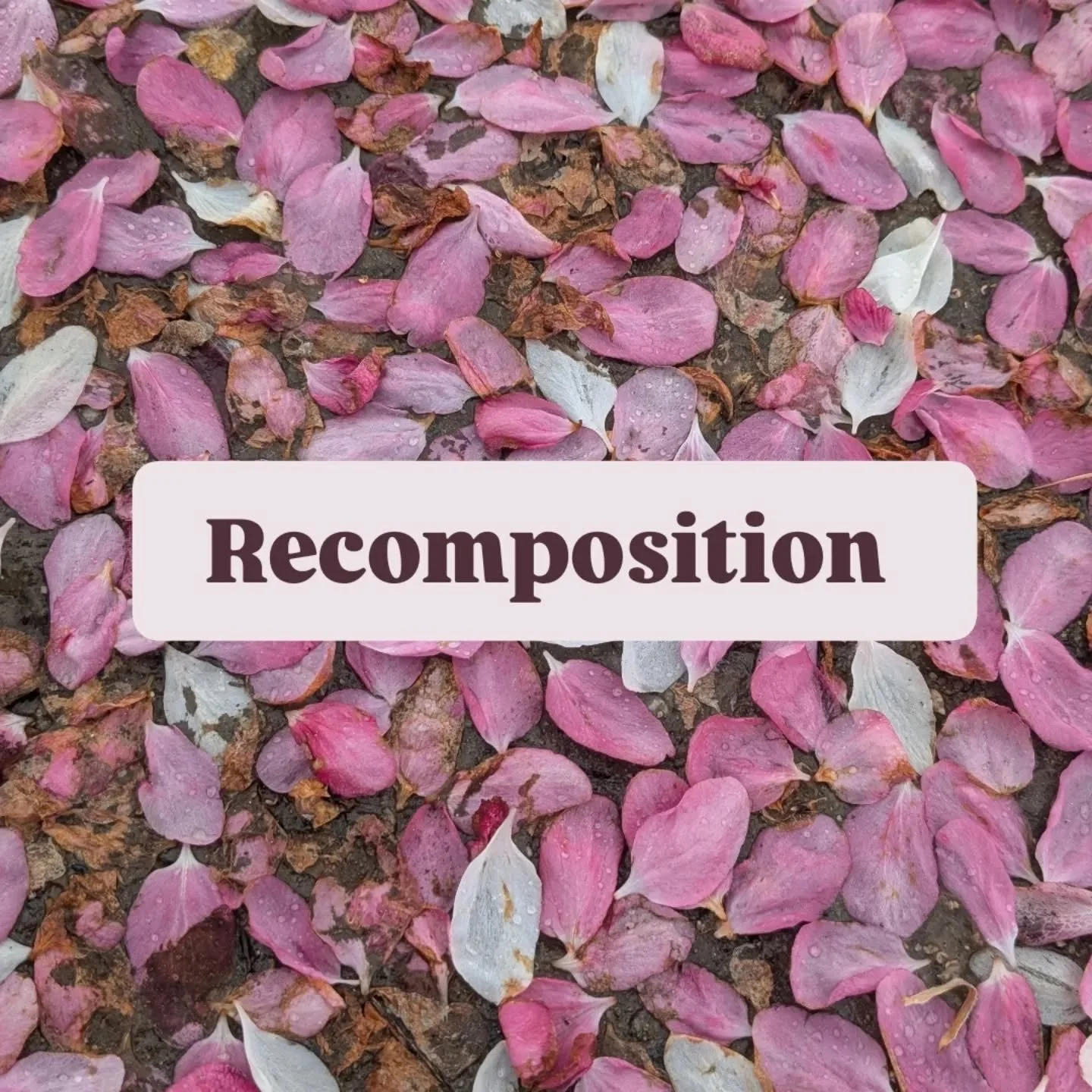 I've been searching for this word for weeks and it showed up yesterday when I looked up synonyms for "rearrange", which, as a concept, was close but not *exactly* it. 
I've been existing in a state of decomposition, an incredibly thorough