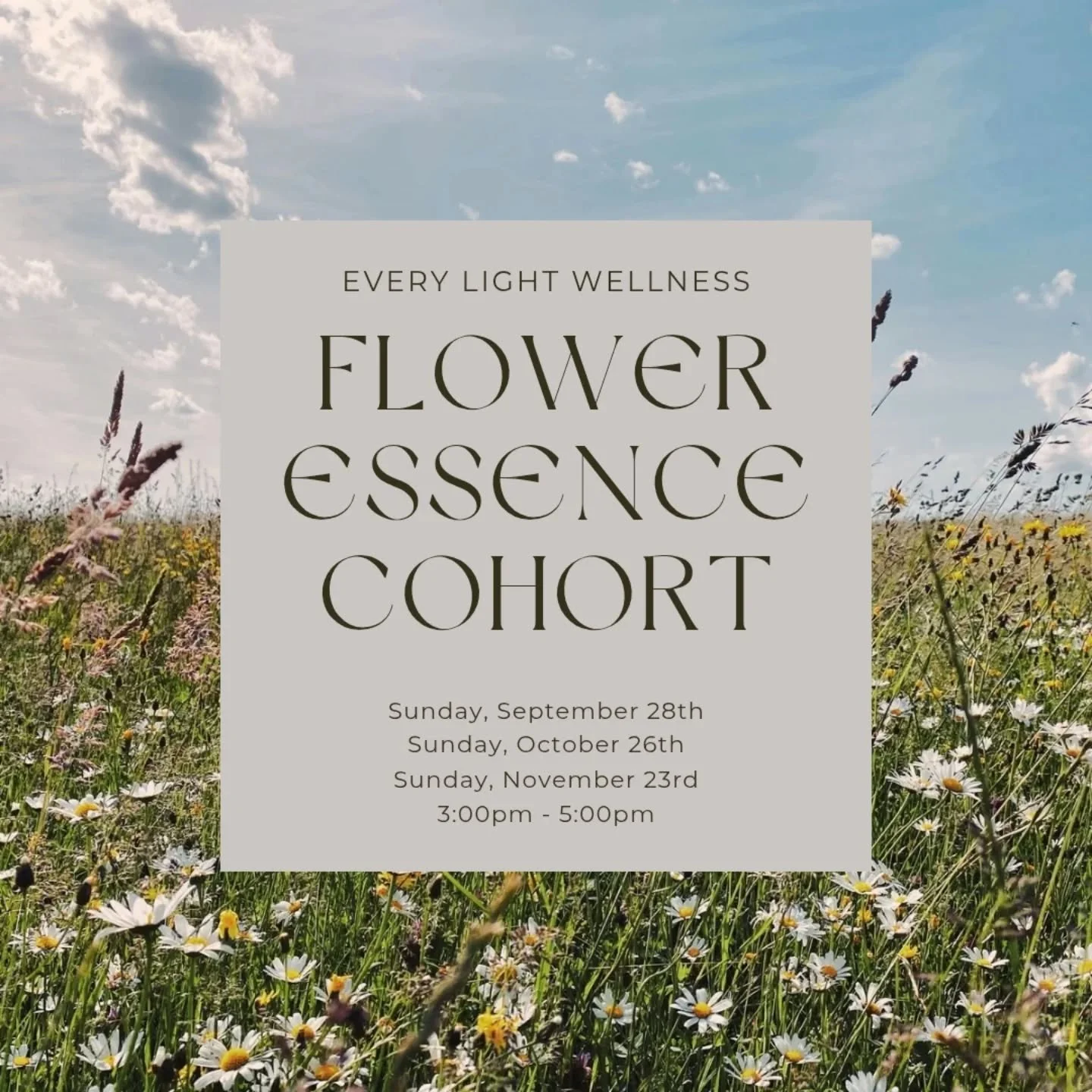 *REGISTRATION IS OPEN ✨🌻🌞
Reimagine Flower Essence Therapy and experience Flower and Planetary Essences within an intimate setting in this series of small group gatherings…
I’d love it if you joined us for the September-November seri