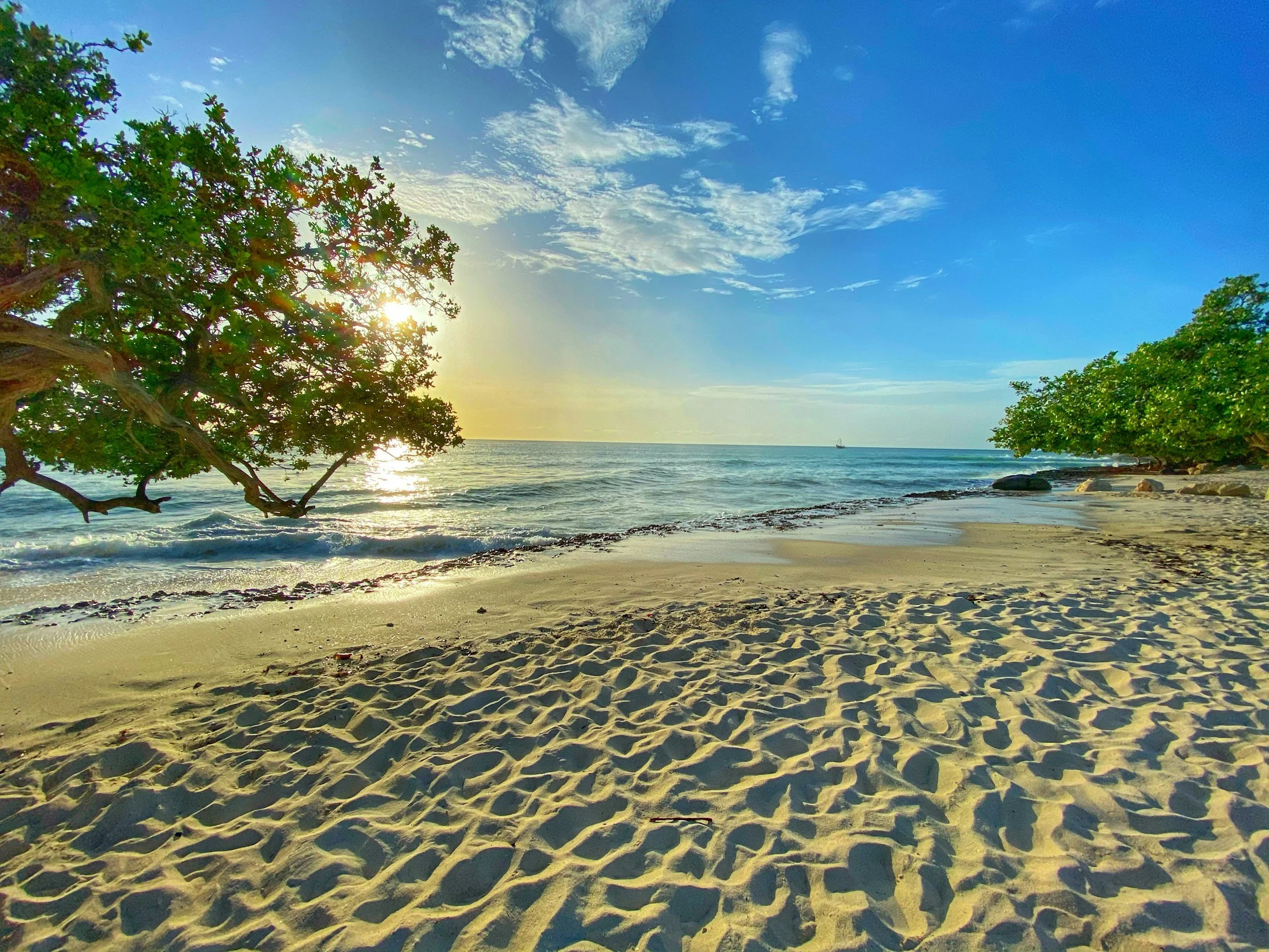 #1. Aruba